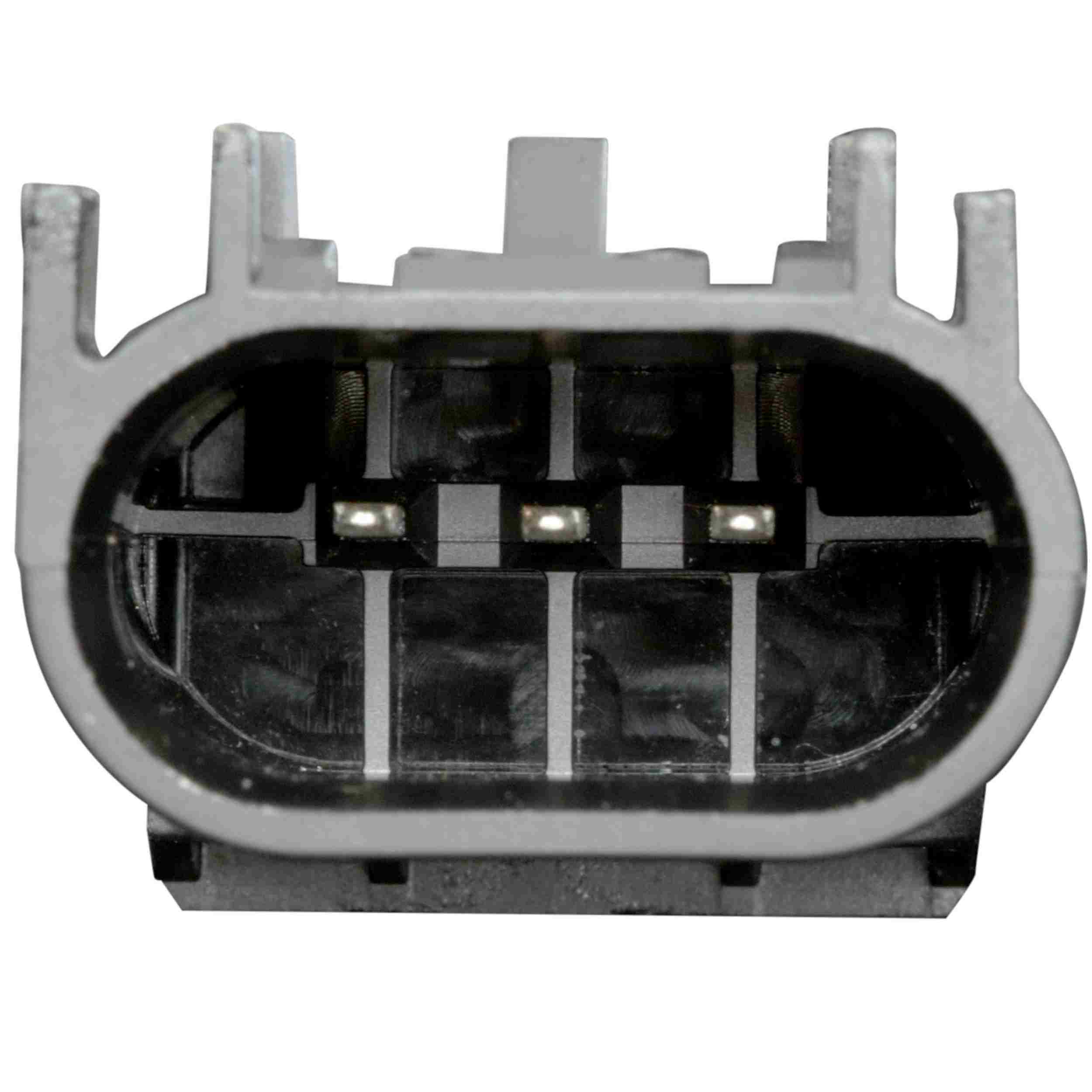 Delphi Fuel Pump Module Assembly FG1846