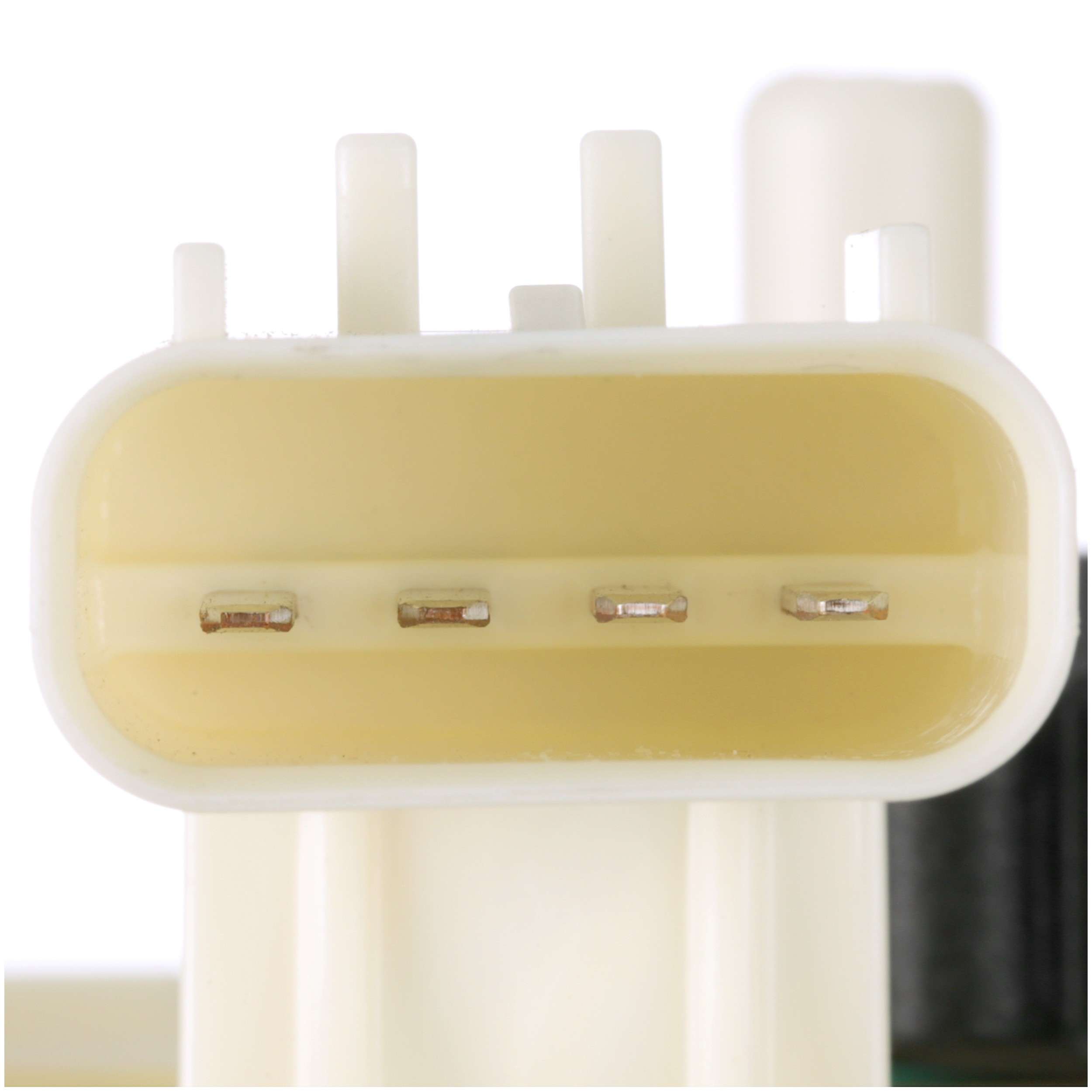 Delphi Fuel Pump Module Assembly FG2059