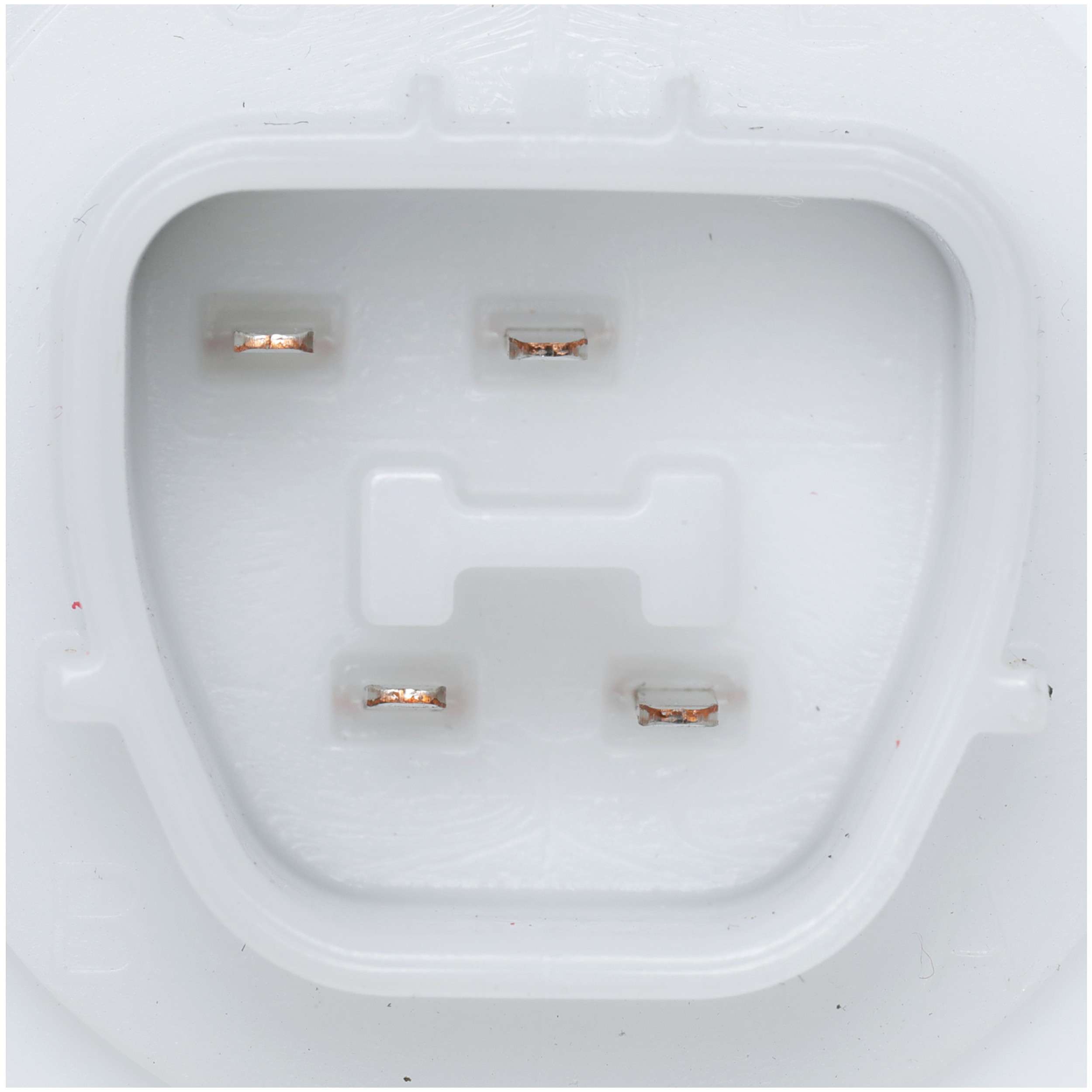 Delphi Fuel Pump Module Assembly FG2069