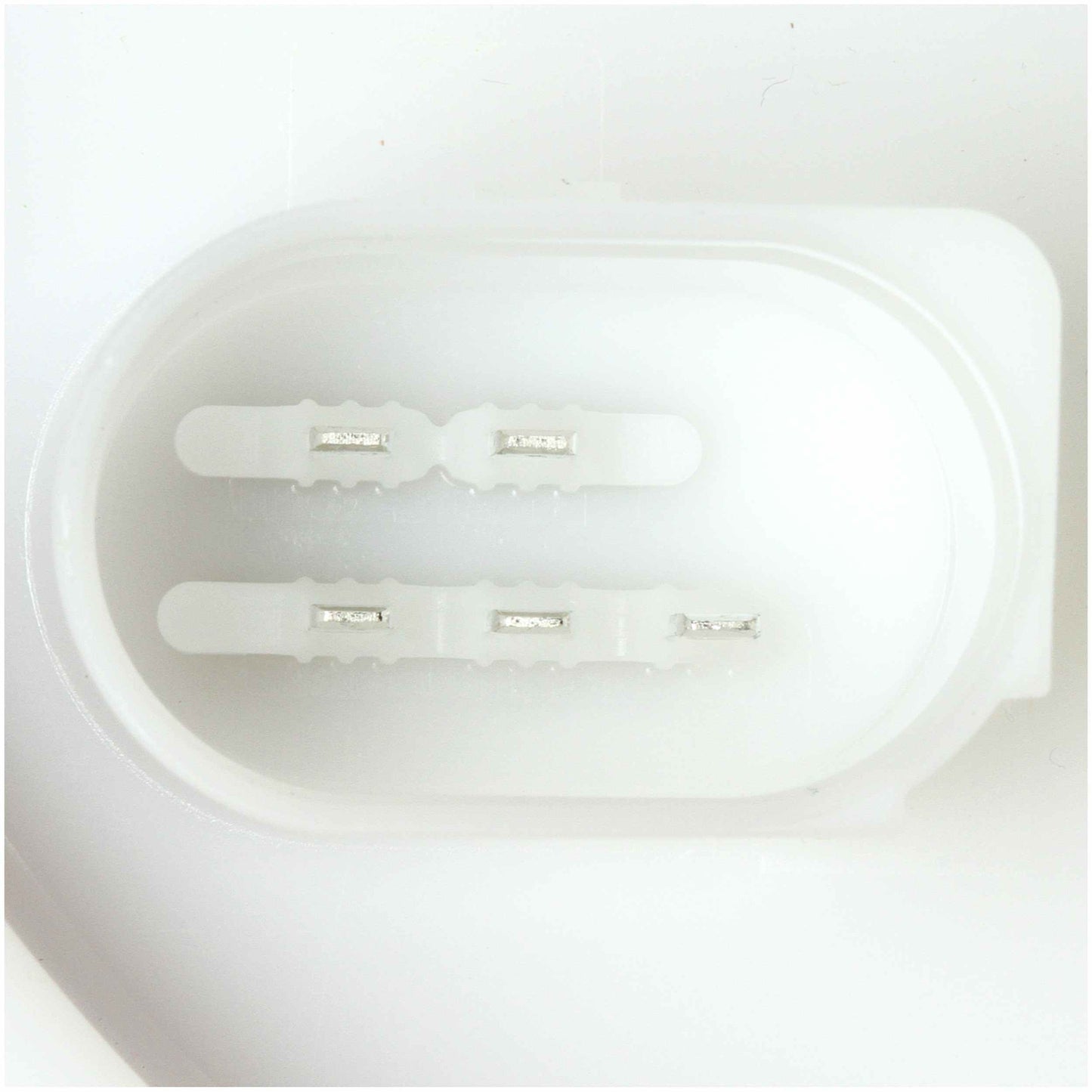 Delphi Fuel Pump Module FG2153