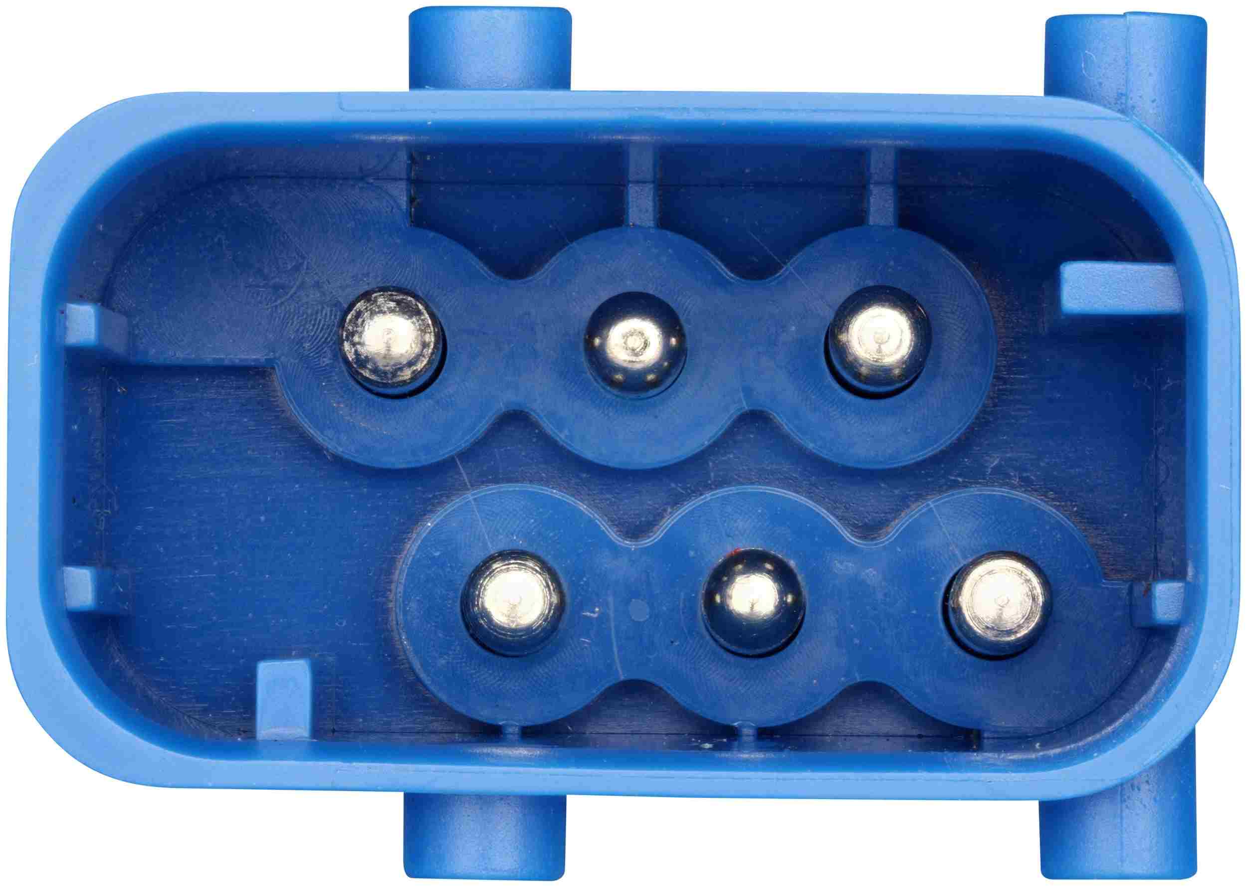 Delphi Fuel Pump Module FG2165