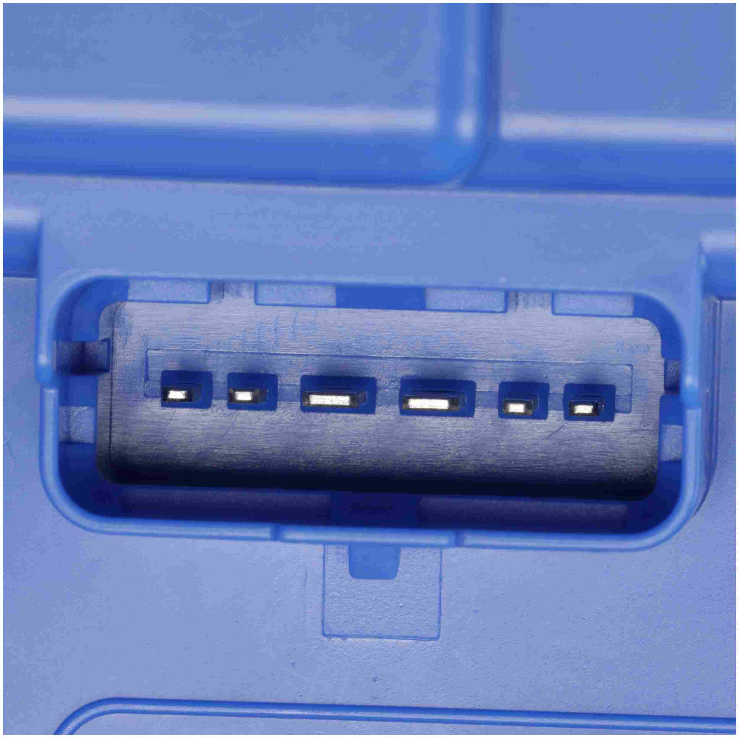 Delphi Fuel Pump Module FG2181