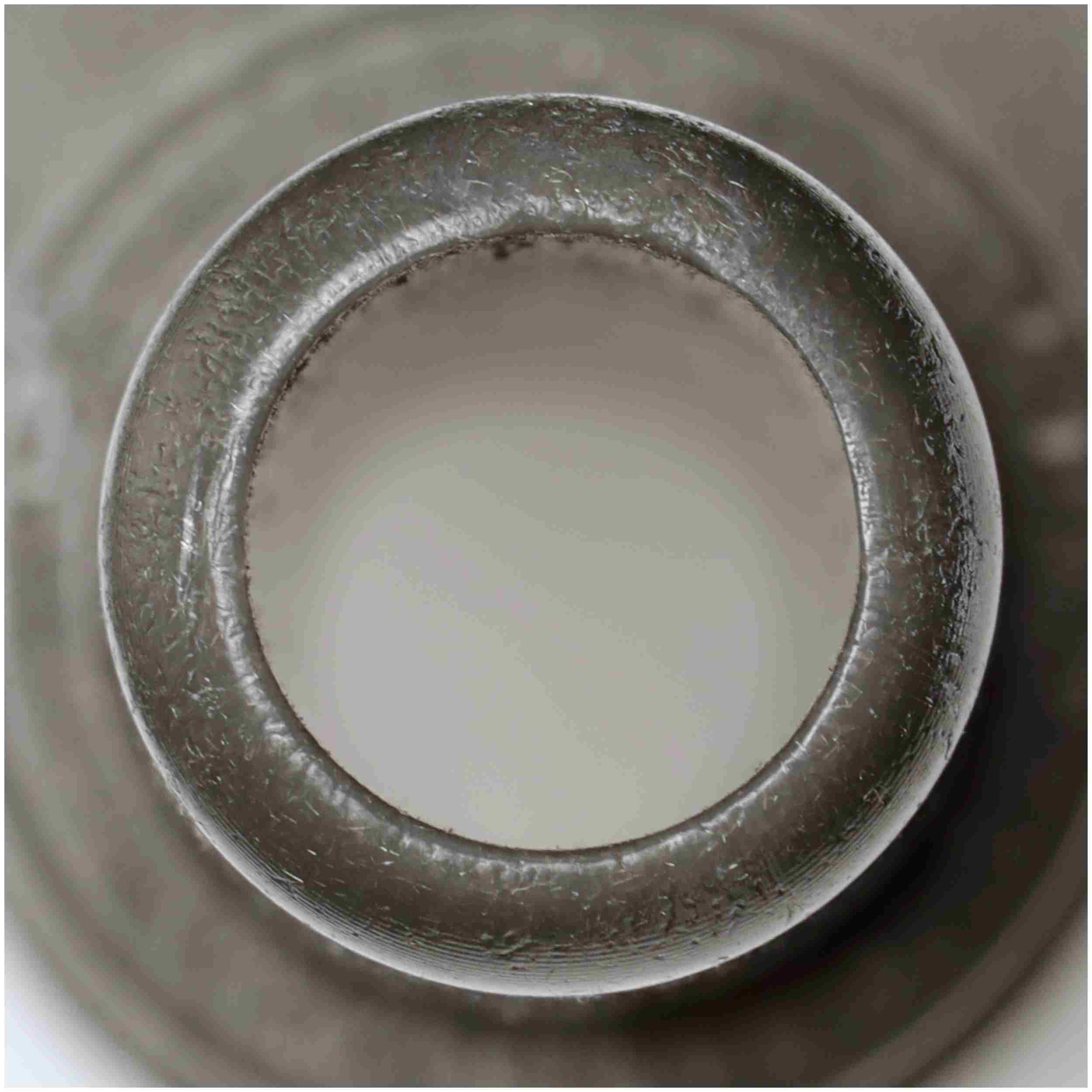 Delphi Fuel Pump Module Assembly FG2243