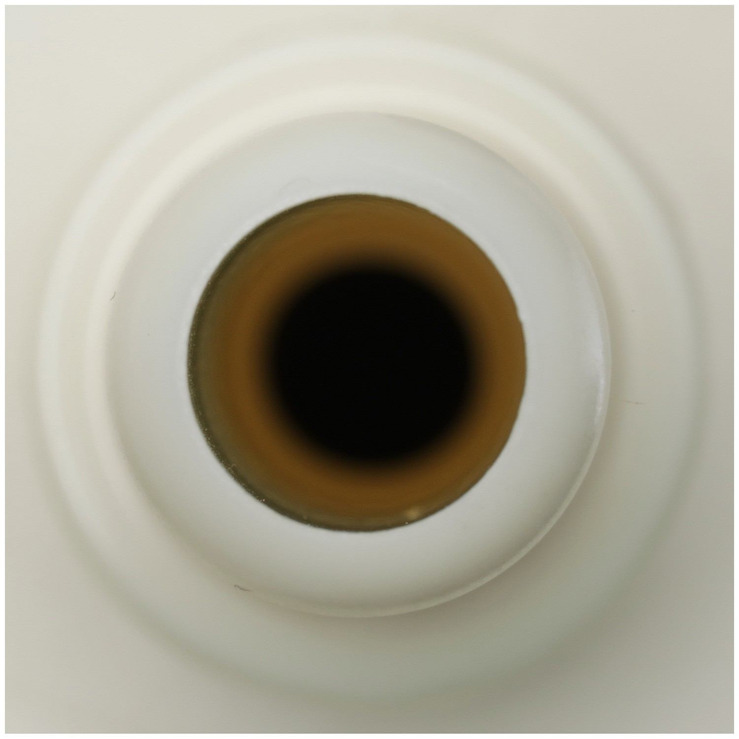 Delphi Fuel Pump Module Assembly FG2260