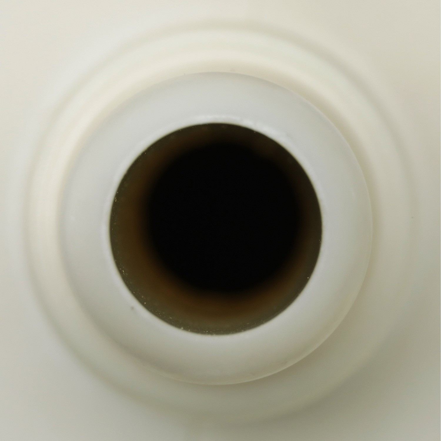 Delphi Fuel Pump Module Assembly FG2260