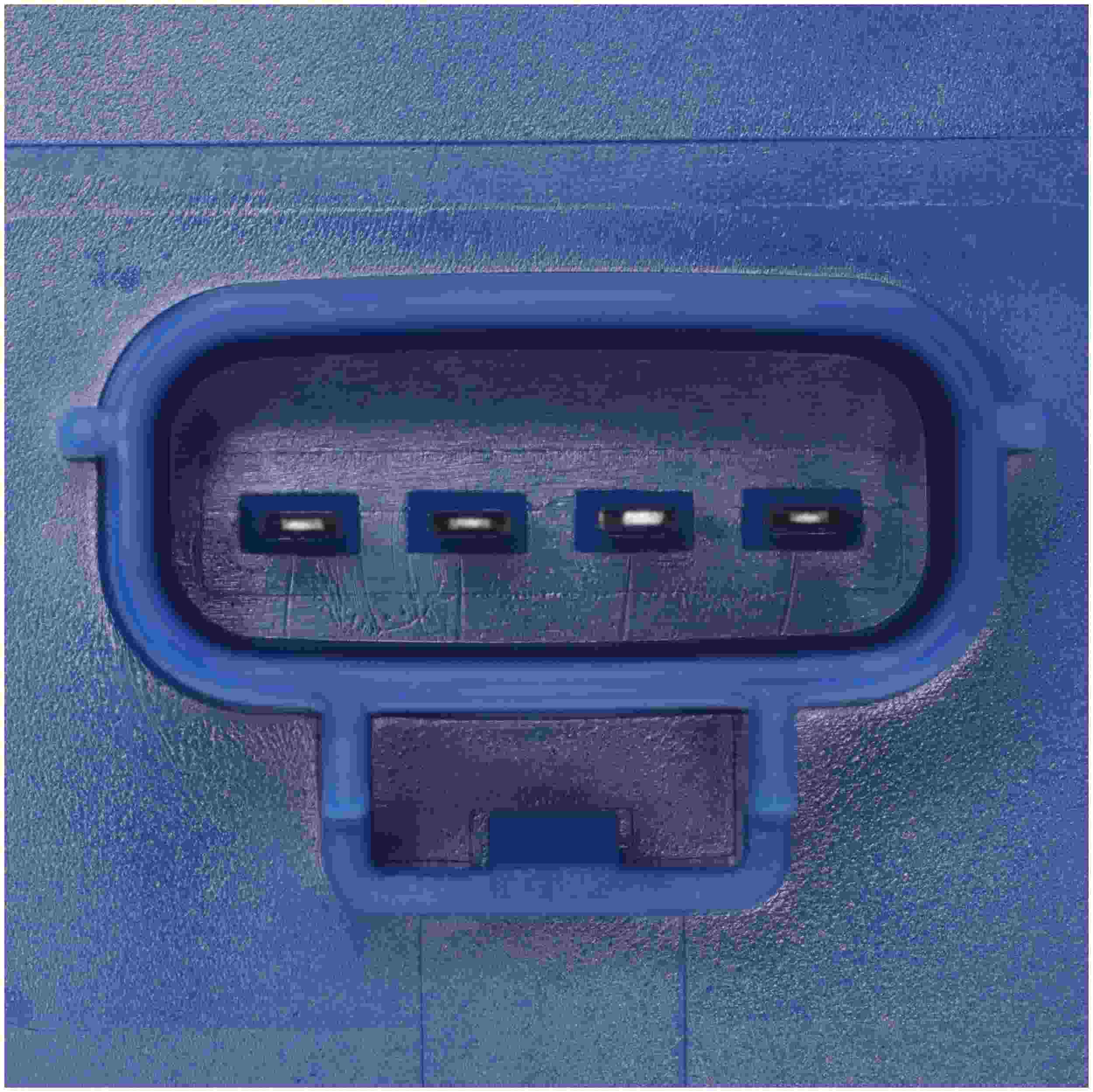 Delphi Fuel Pump Module Assembly FG2687