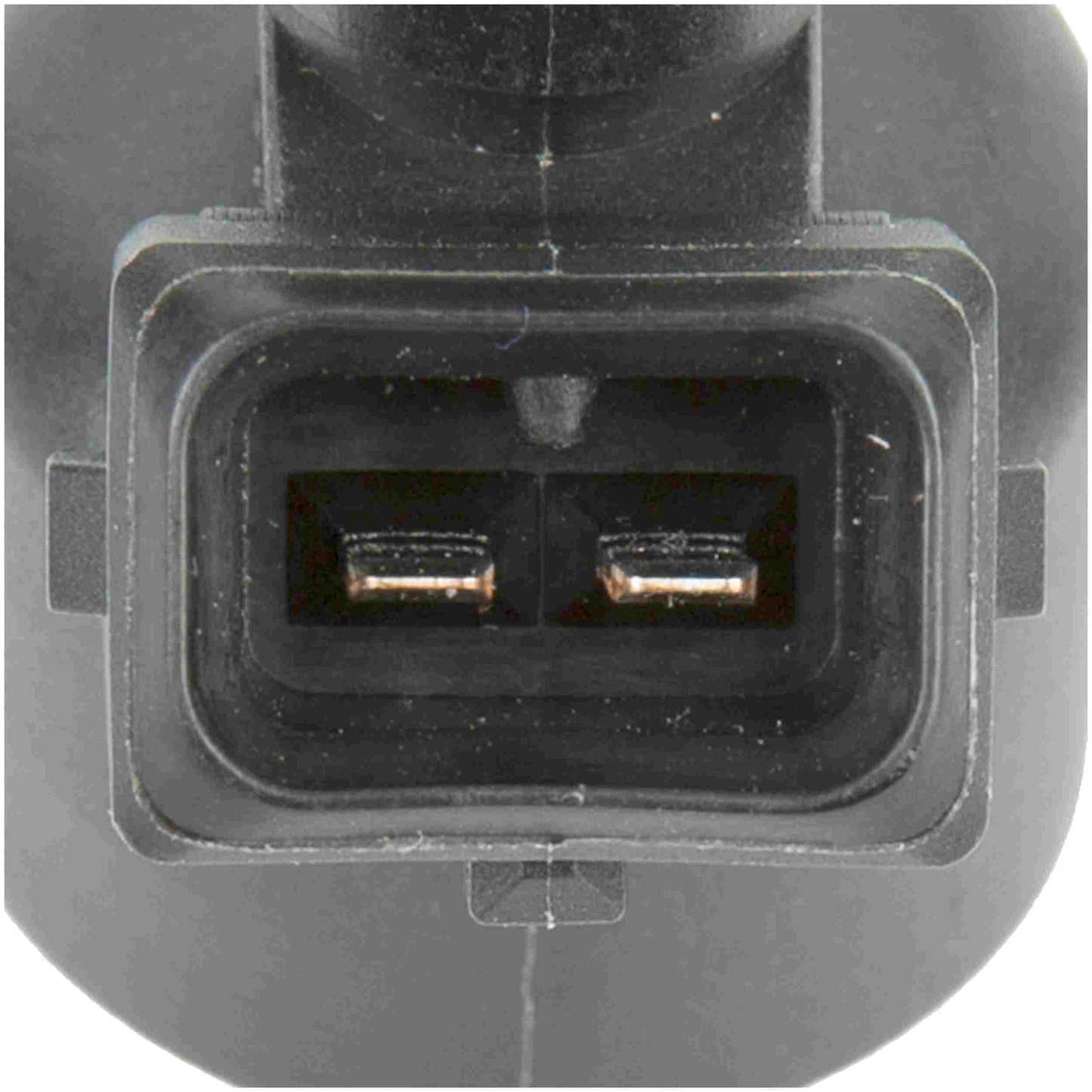 Delphi Fuel Injector FJ10055