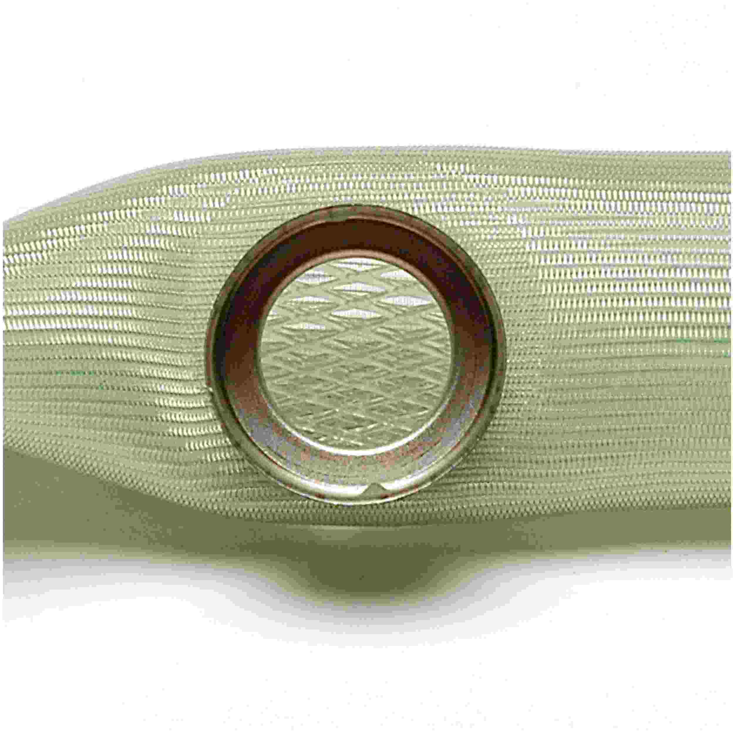 Delphi Fuel Pump Strainer FS0002