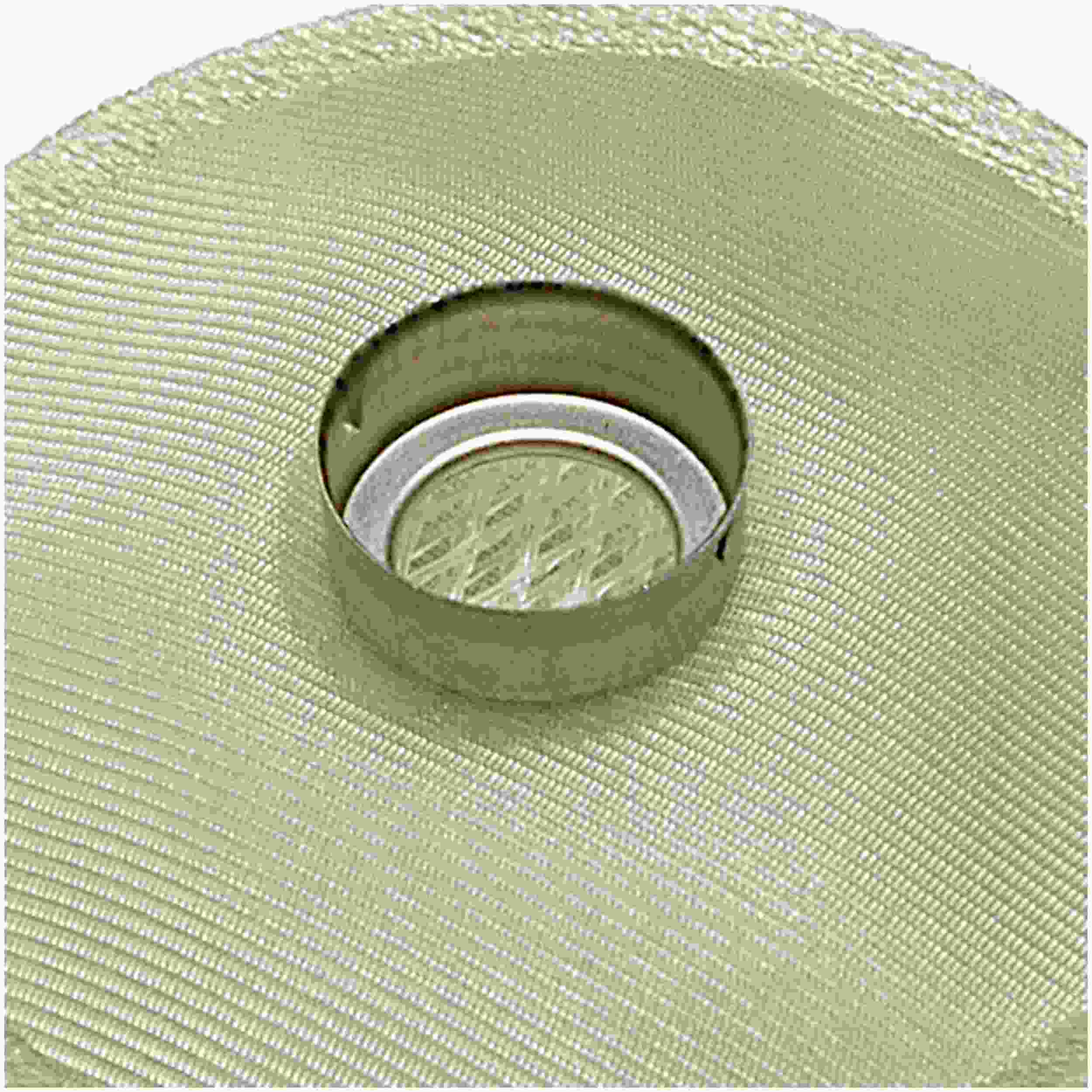 Delphi Fuel Pump Strainer FS0009