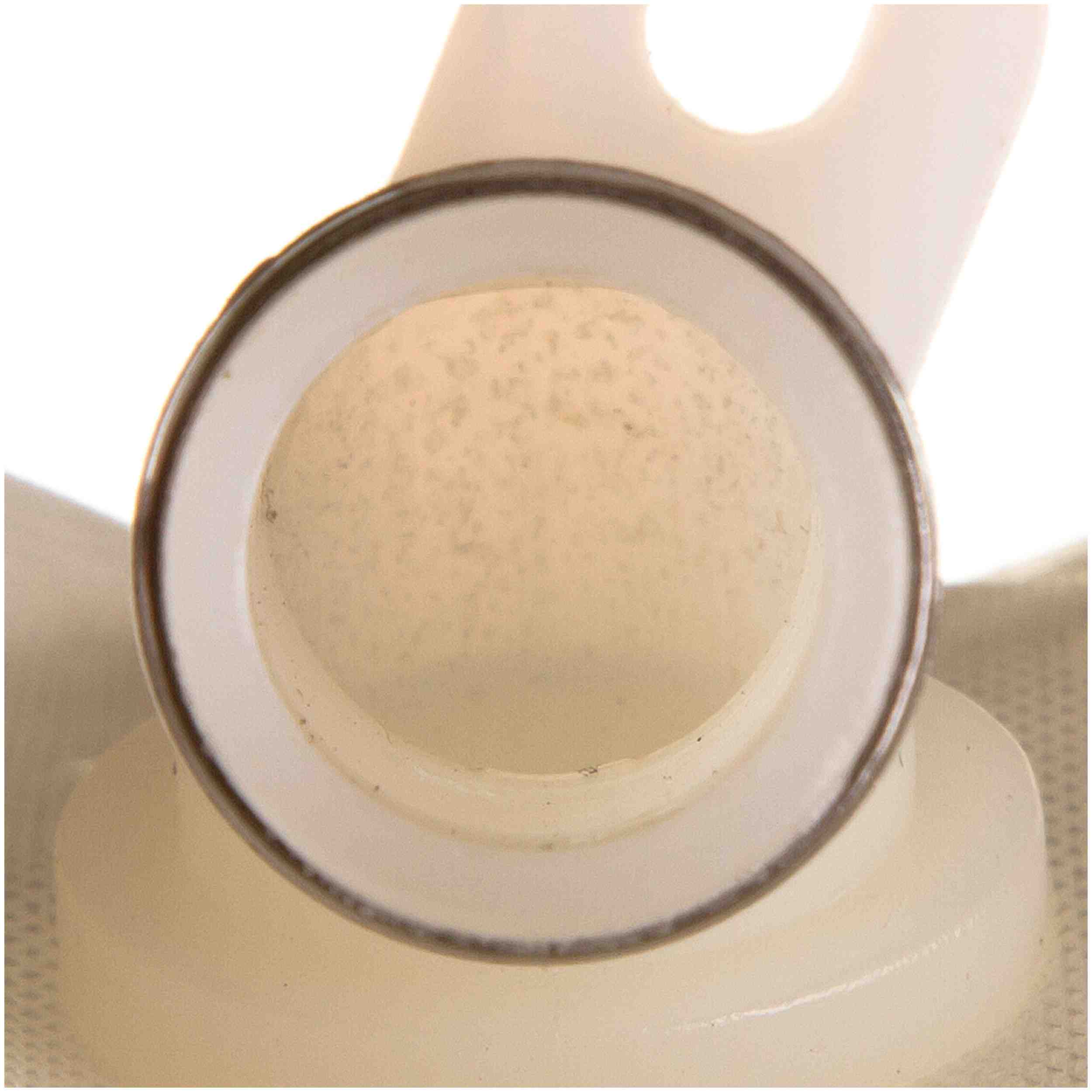 Delphi Fuel Pump Strainer FS0091