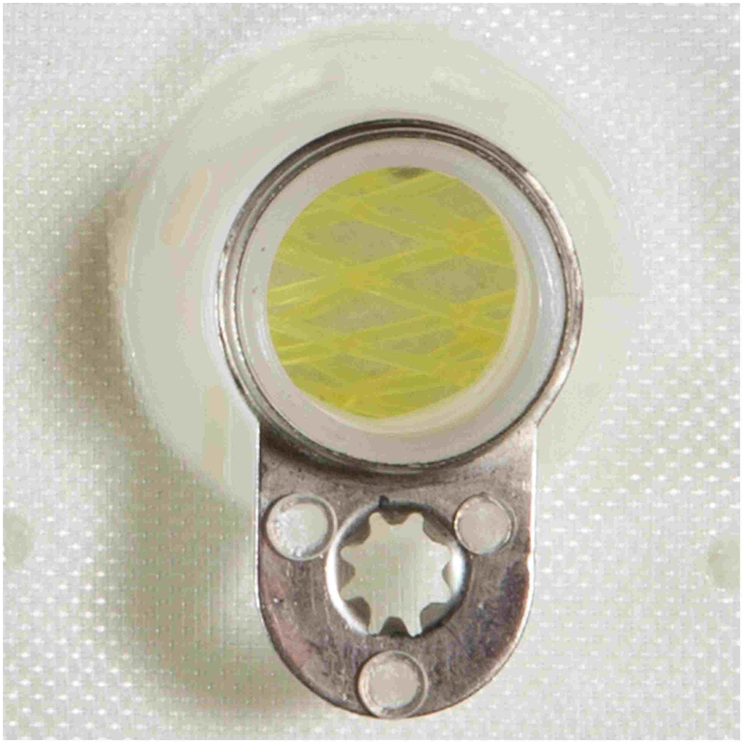 Delphi Fuel Pump Strainer FS0108