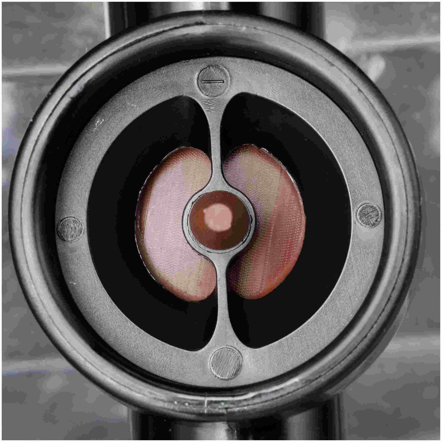 Delphi Fuel Pump Strainer FS0204