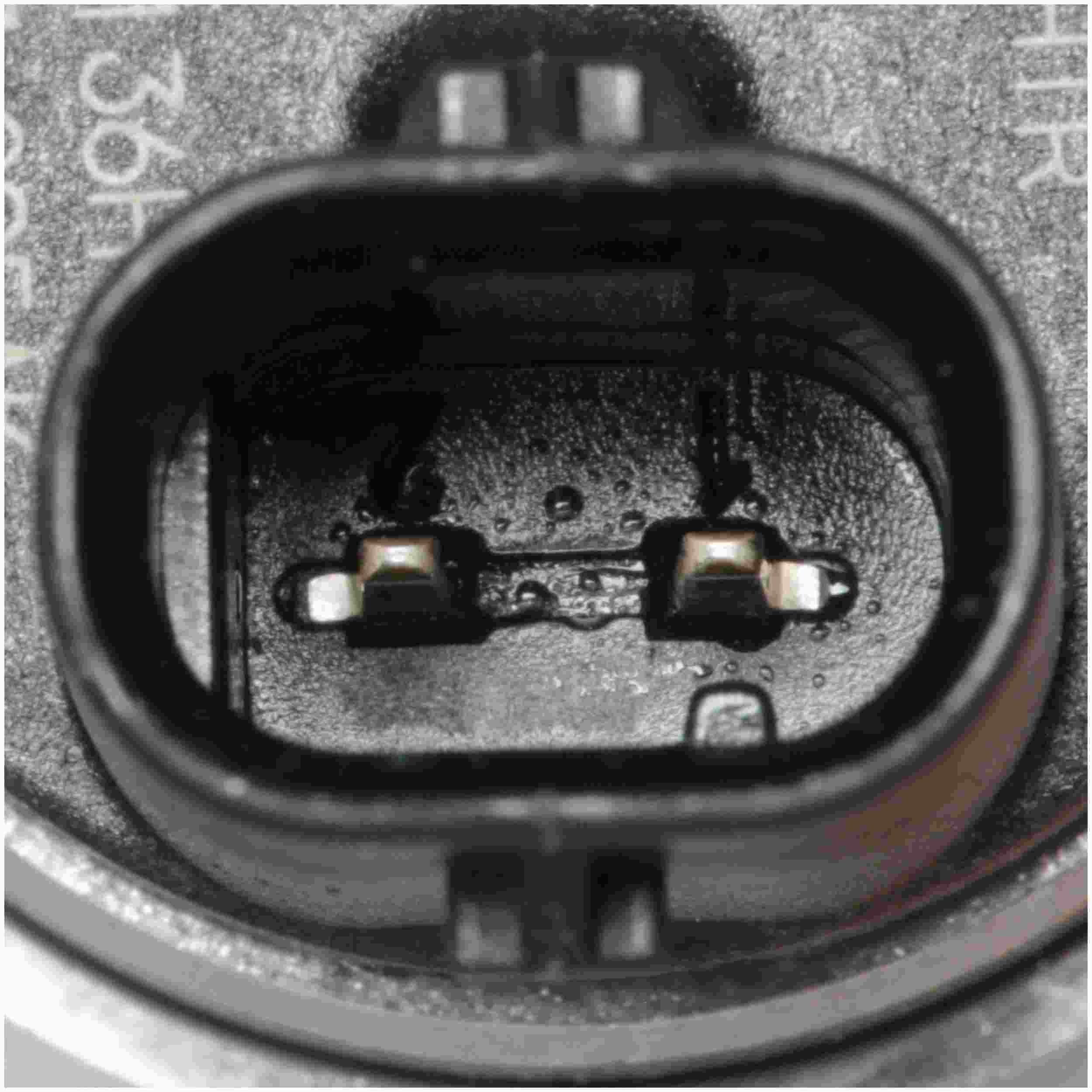 Delphi Direct Injection High Pressure Fuel Pump HM10039