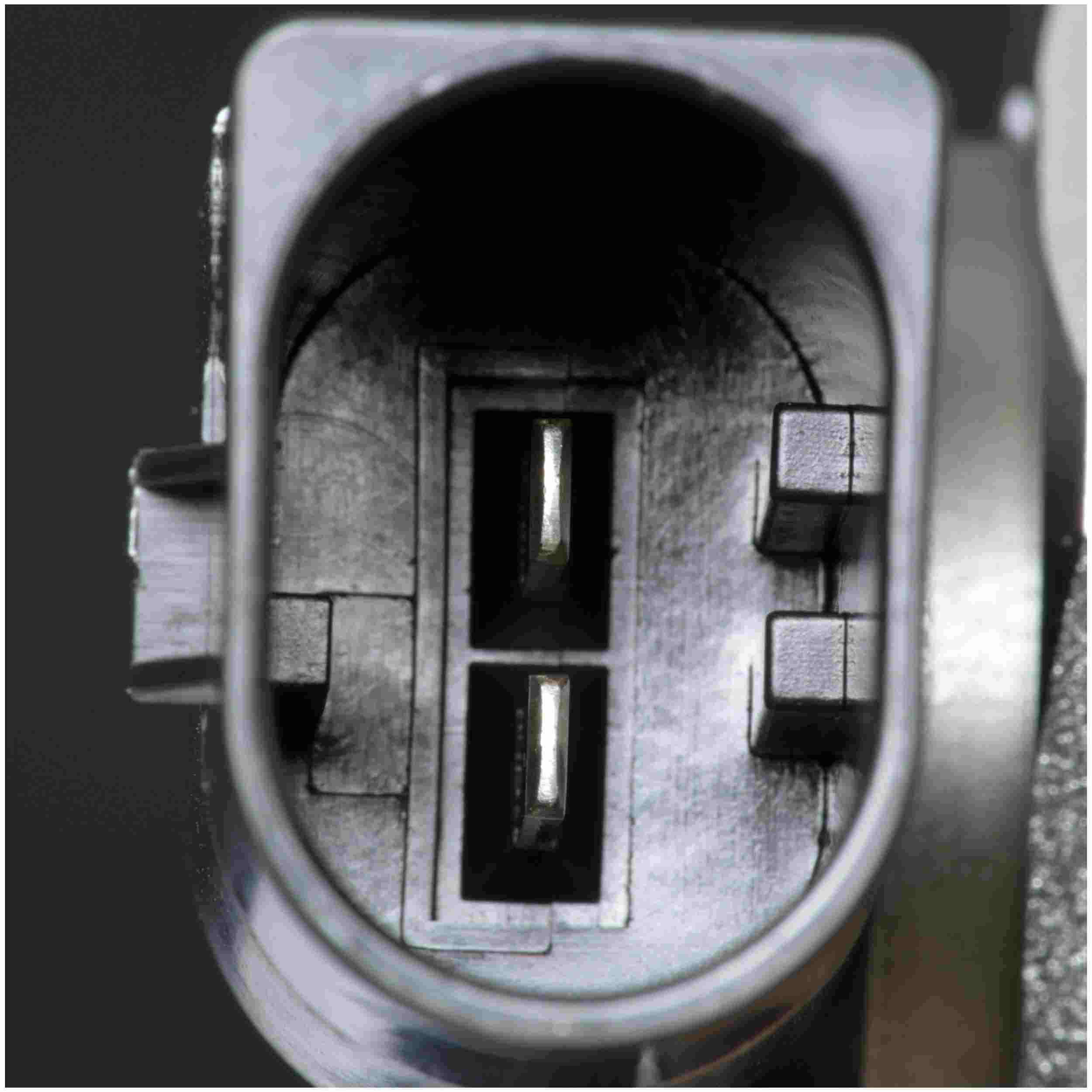 Delphi Direct Injection High Pressure Fuel Pump HM10047