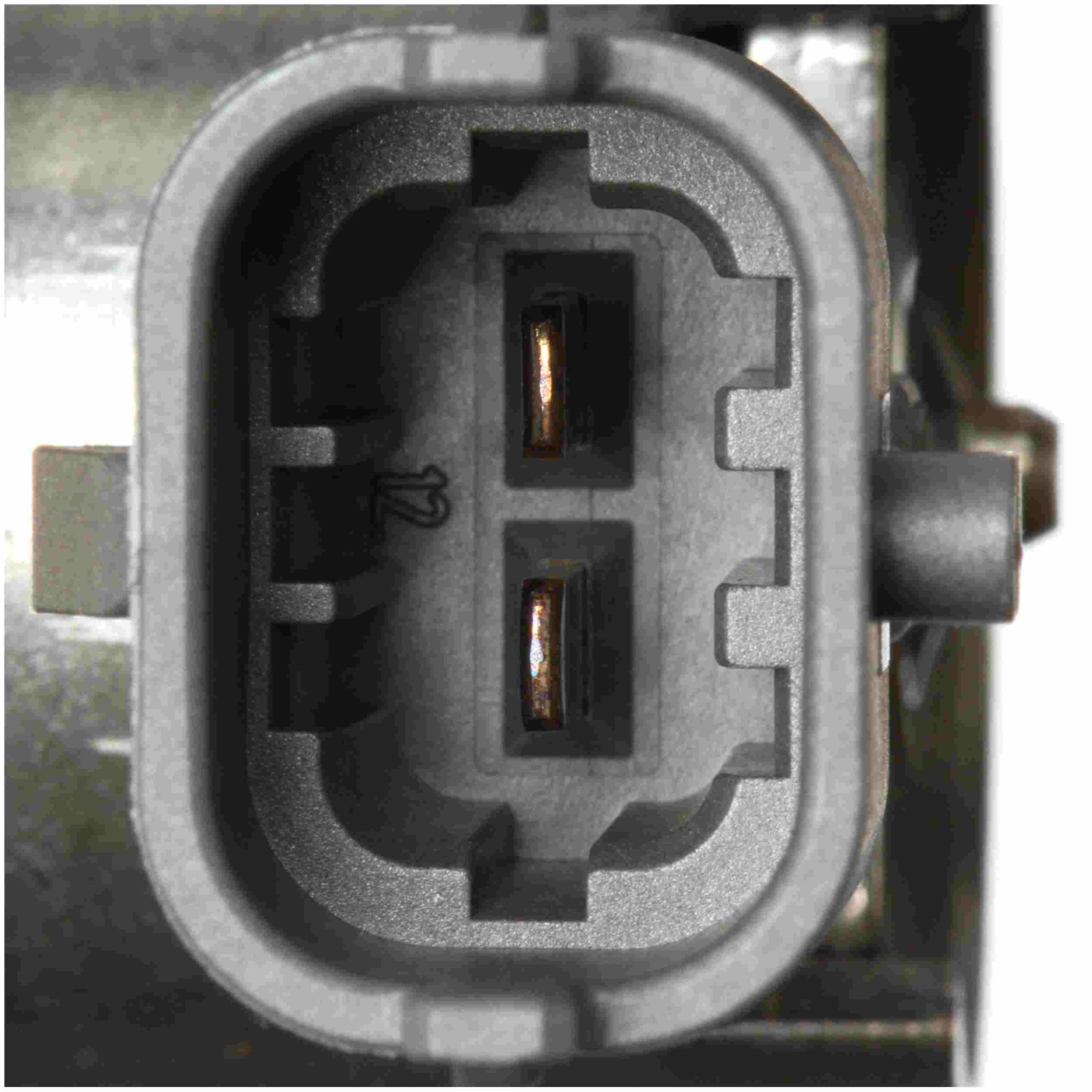 Delphi Direct Injection High Pressure Fuel Pump HM10081