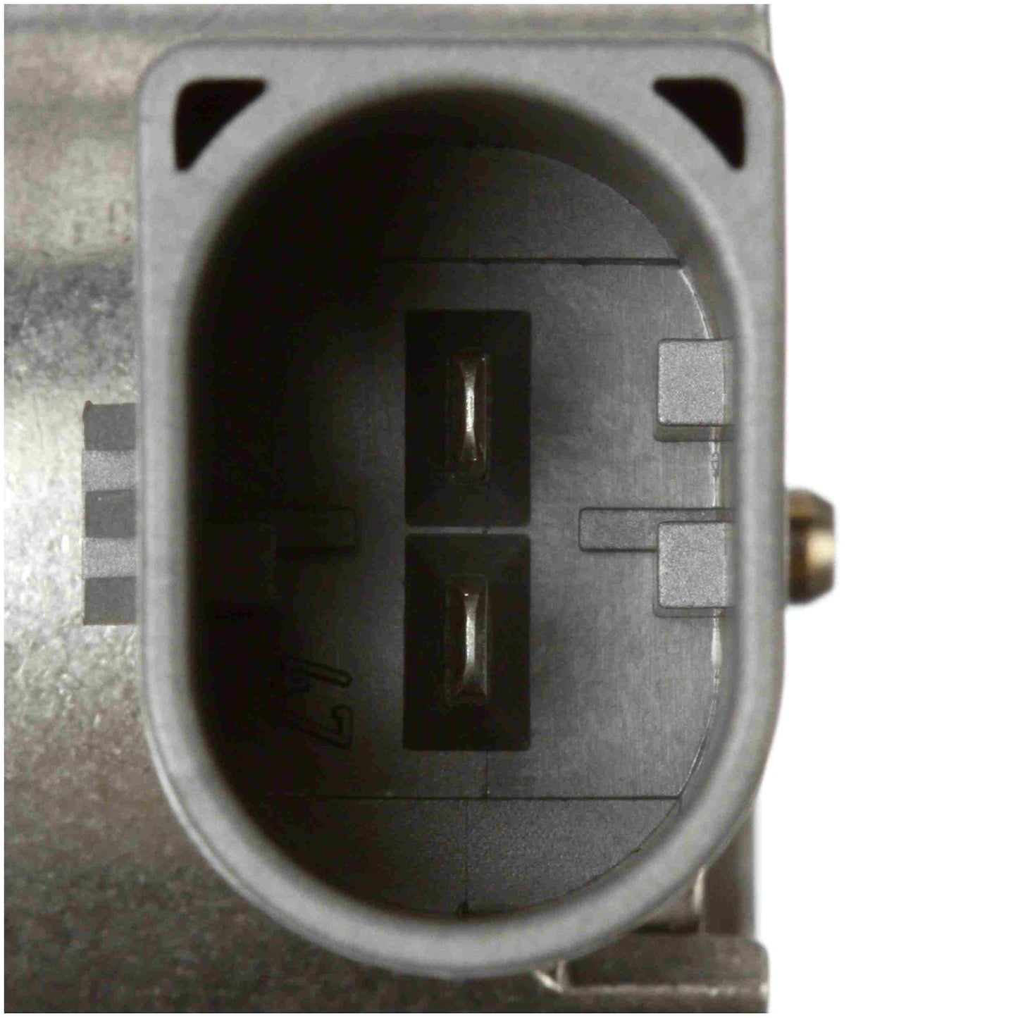 Delphi Direct Injection High Pressure Fuel Pump HM10089