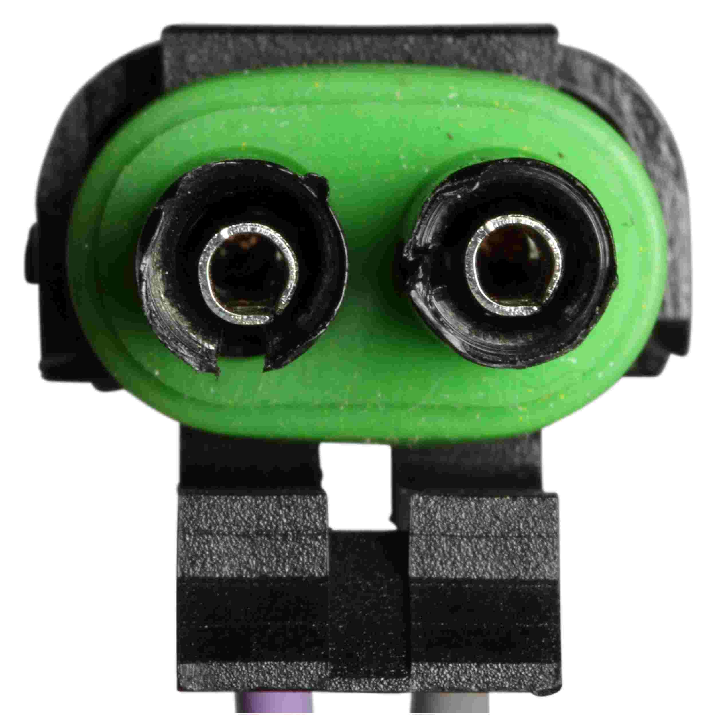 Delphi Fuel Pump Hanger Assembly HP10021