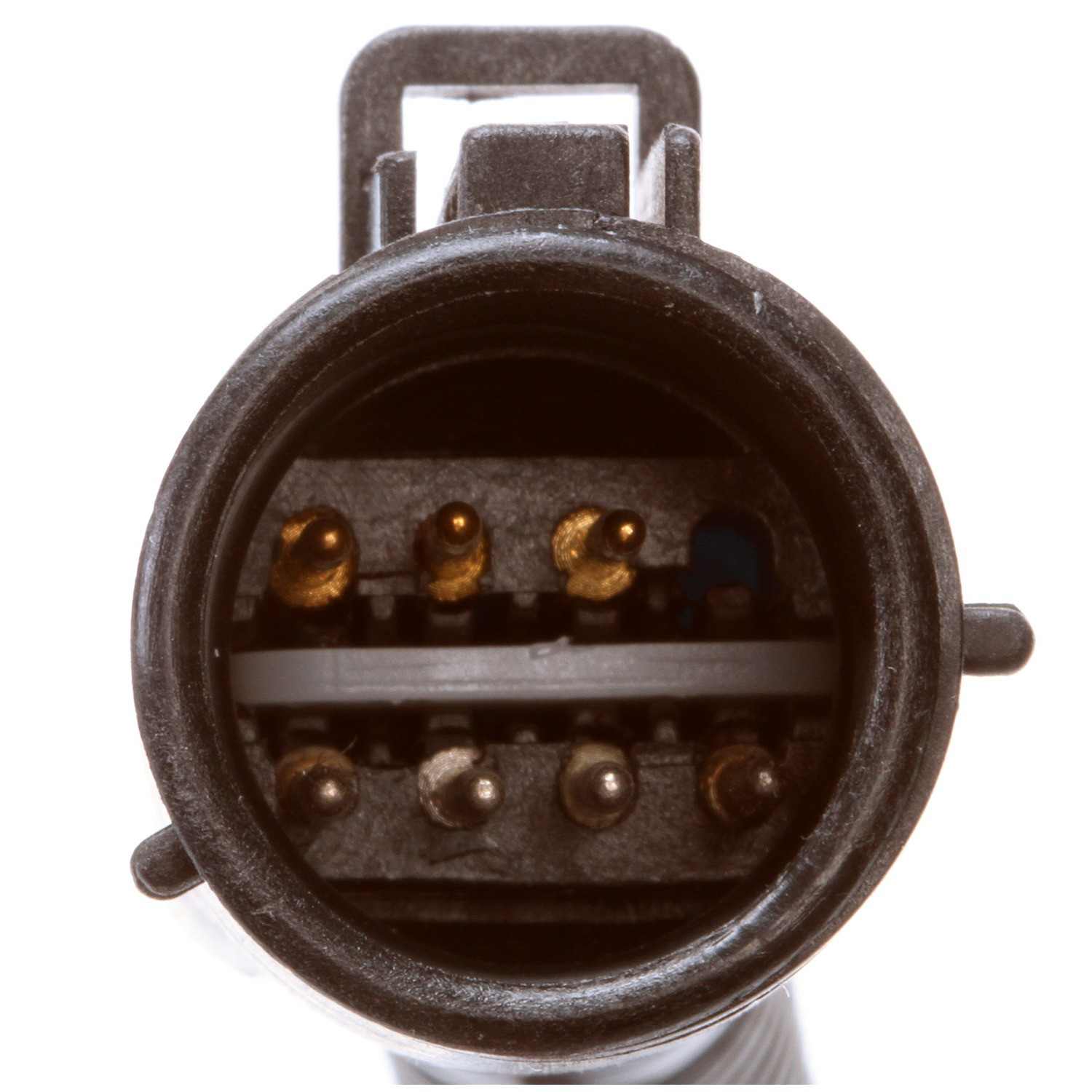 Delphi Fuel Pump Hanger Assembly HP10135