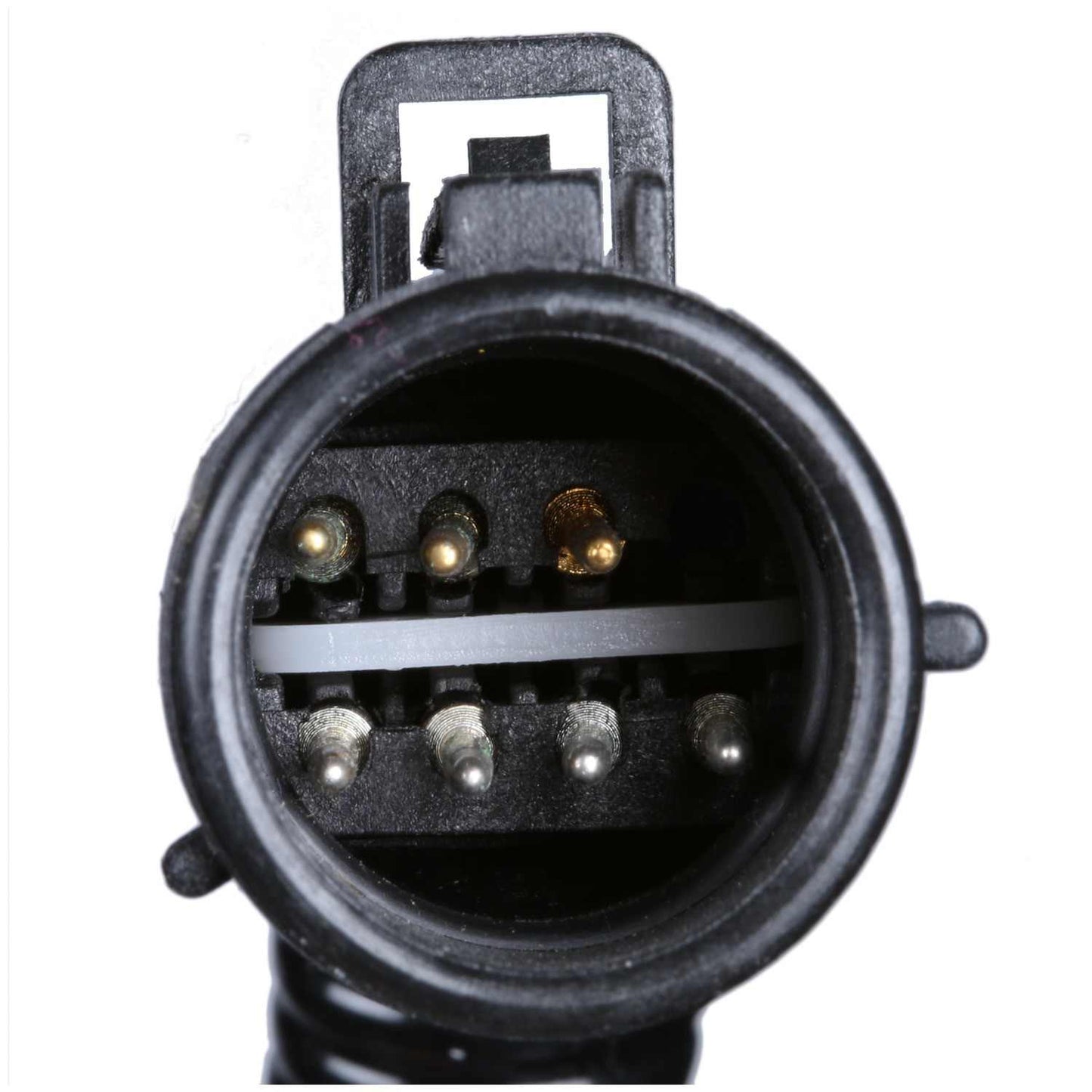 Delphi Fuel Pump Hanger Assembly HP10220