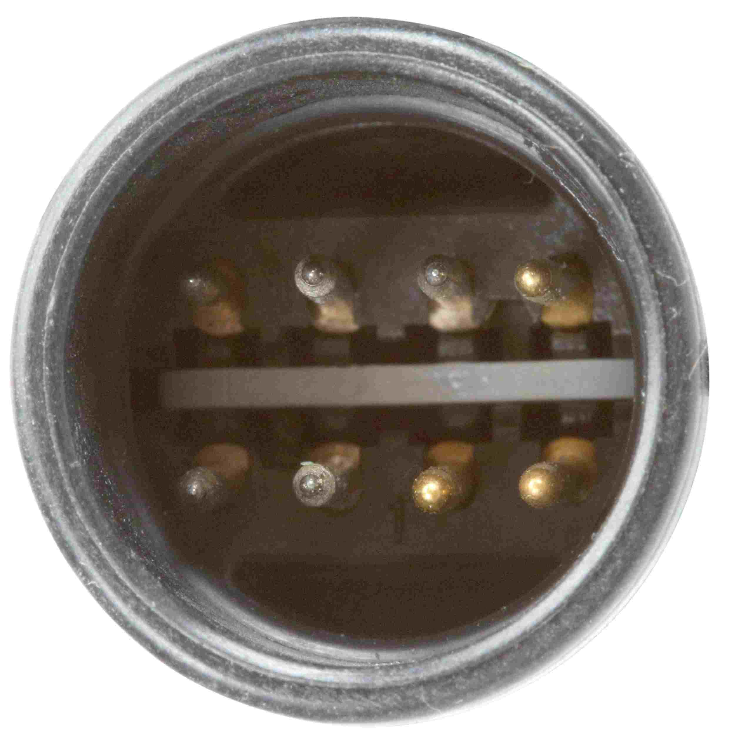 Delphi Fuel Pump Hanger Assembly HP10226