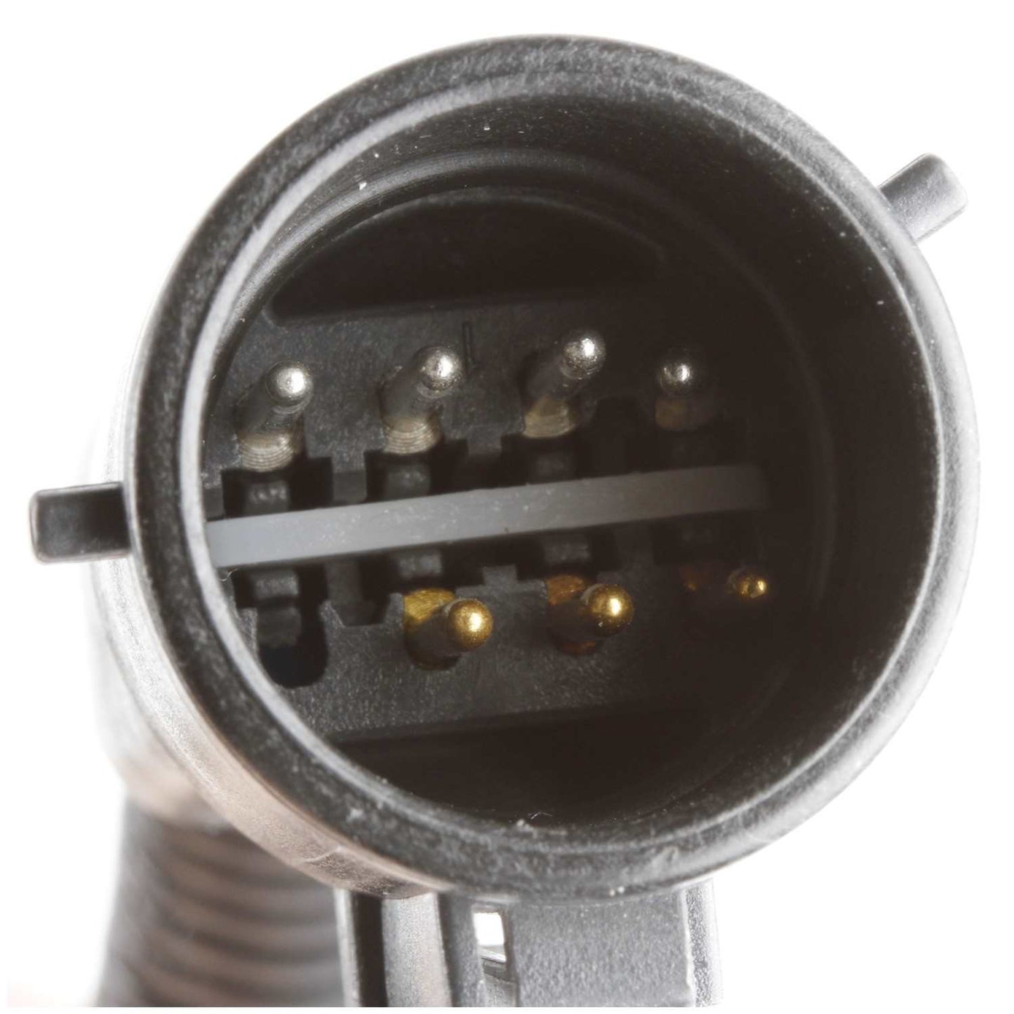 Delphi Fuel Pump Hanger Assembly HP10229