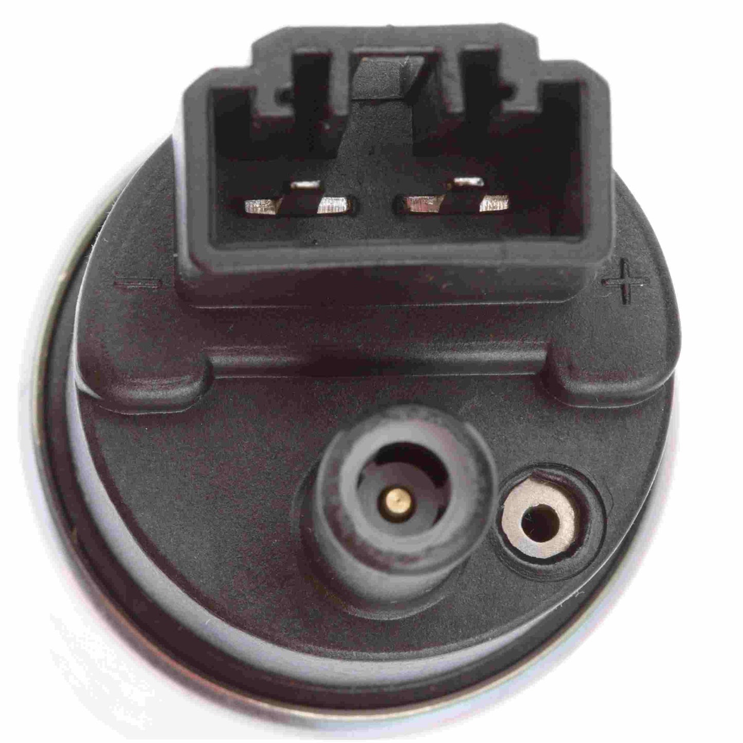 Delphi PN2004