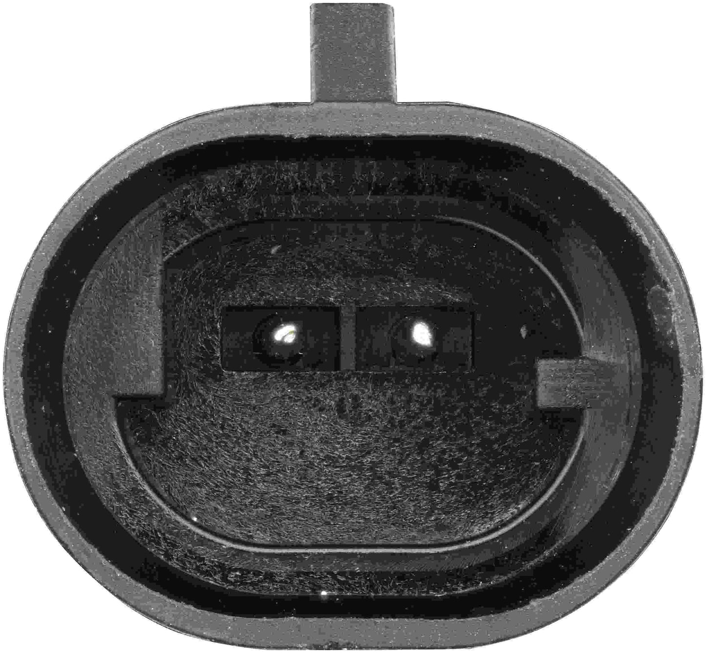 Delphi SS12395