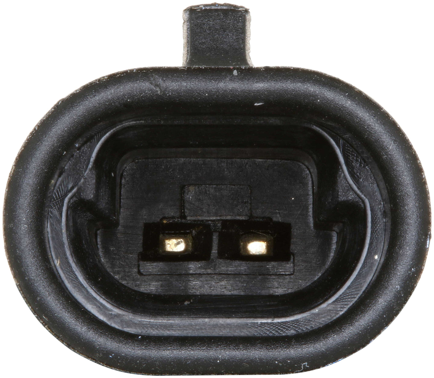 Delphi SS21810 image 8