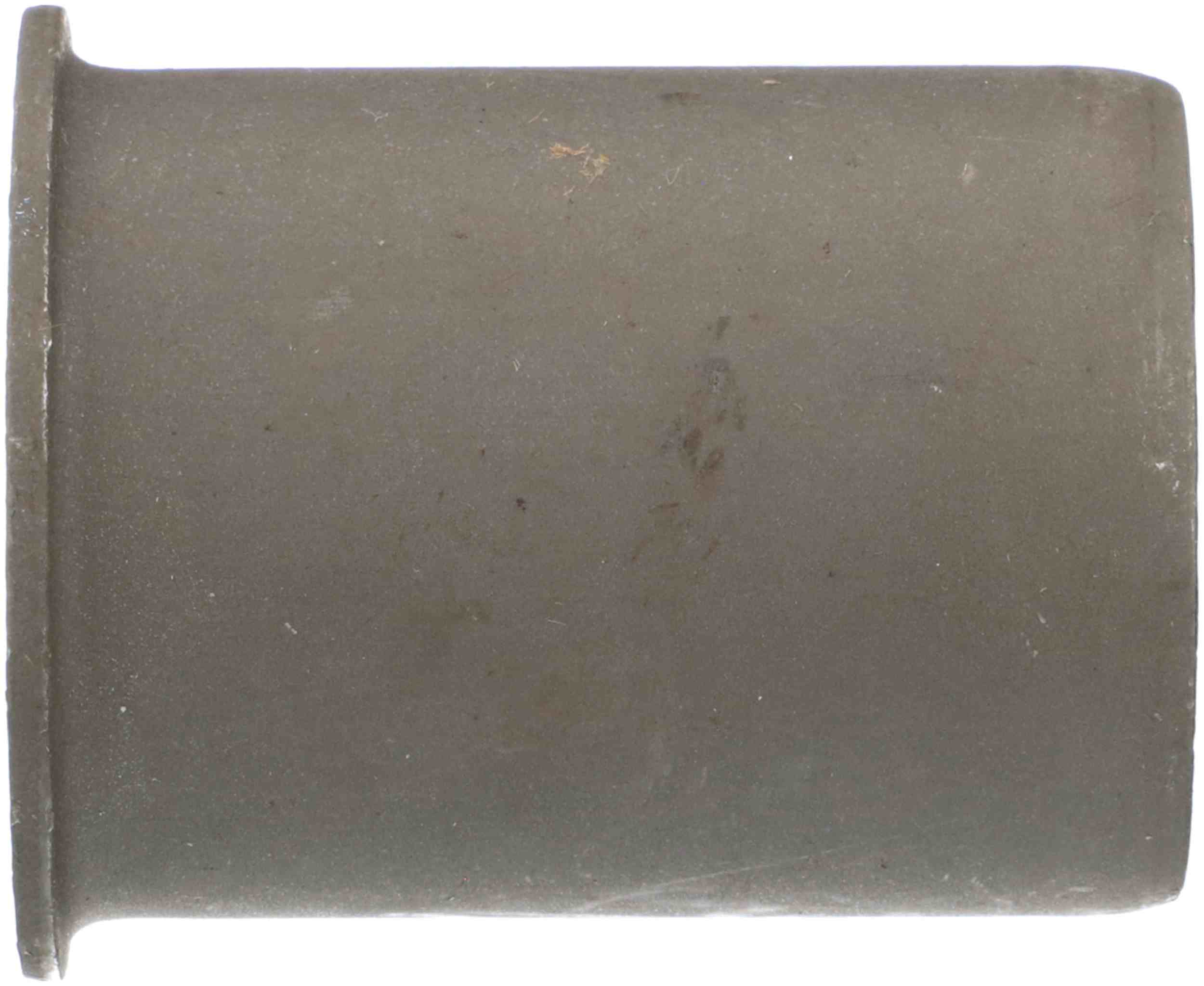 Delphi Suspension Control Arm Bushing TD4882W