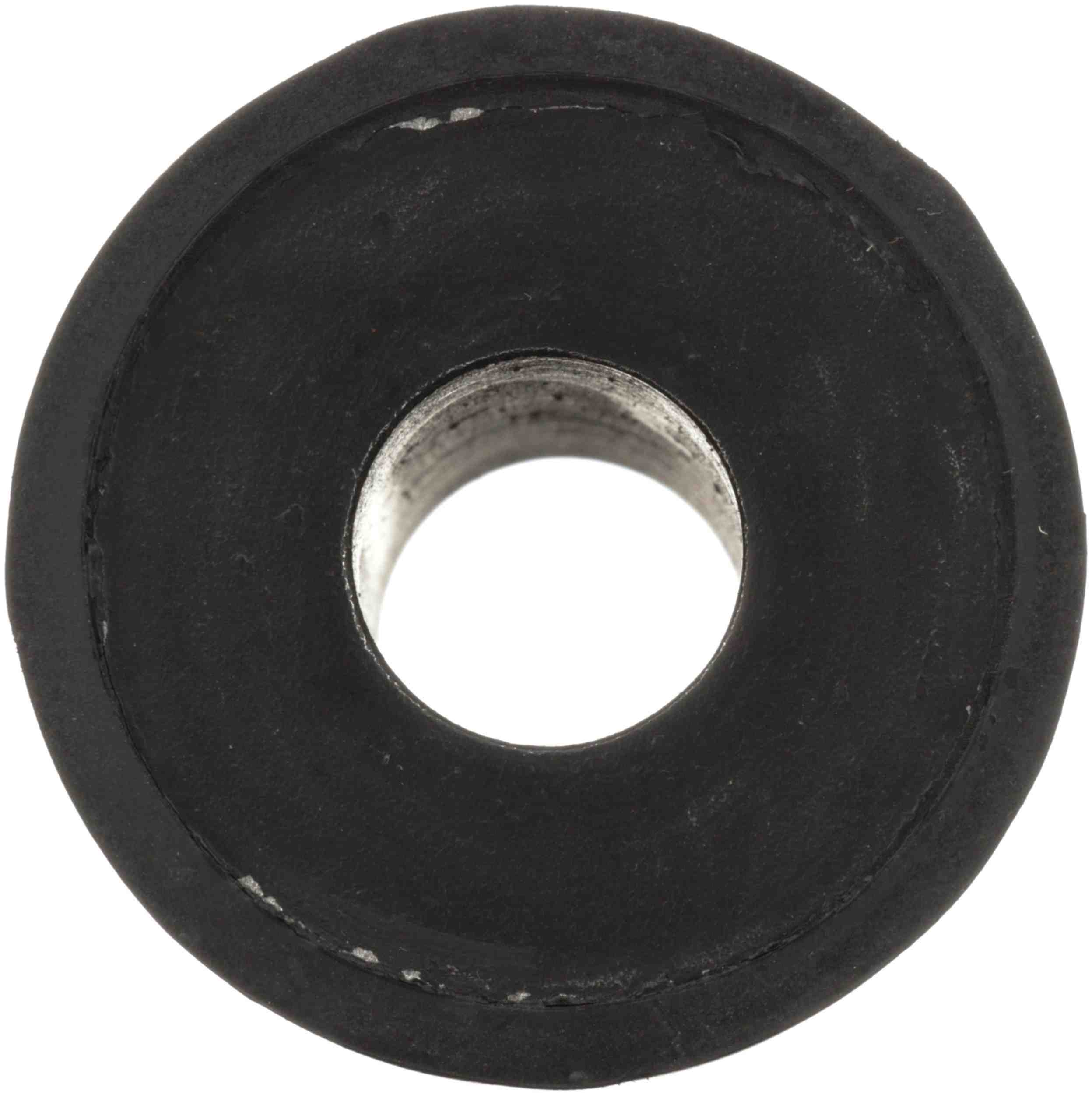 Delphi Rack and Pinion Mount Bushing TD4894W