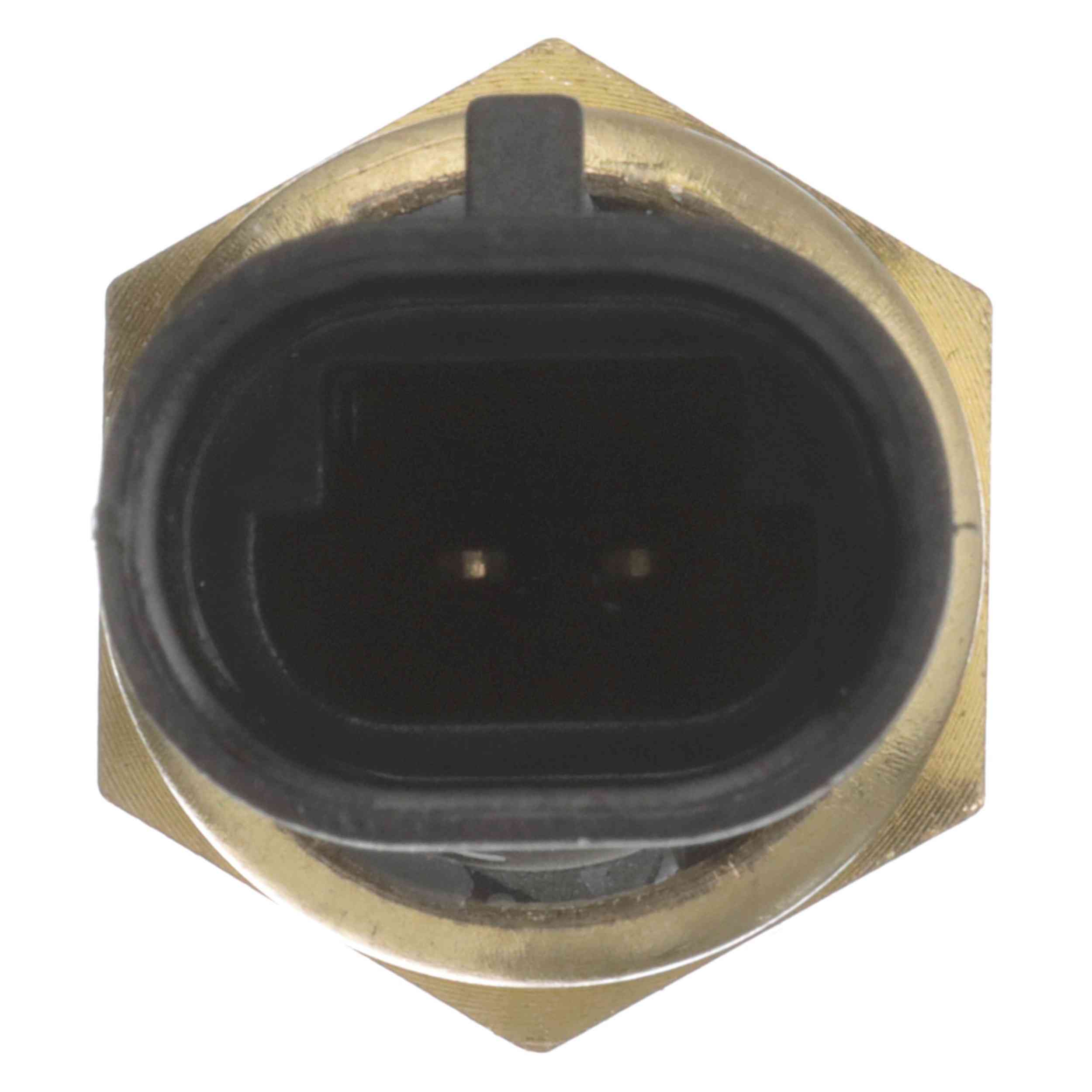 Delphi Engine Coolant Temperature Sensor TS10075
