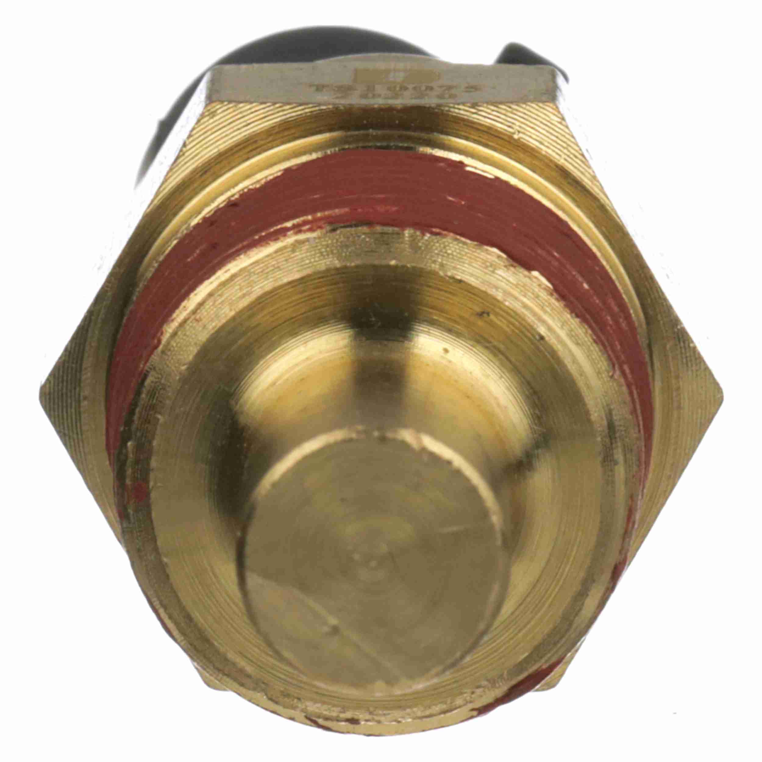 Delphi Engine Coolant Temperature Sensor TS10075