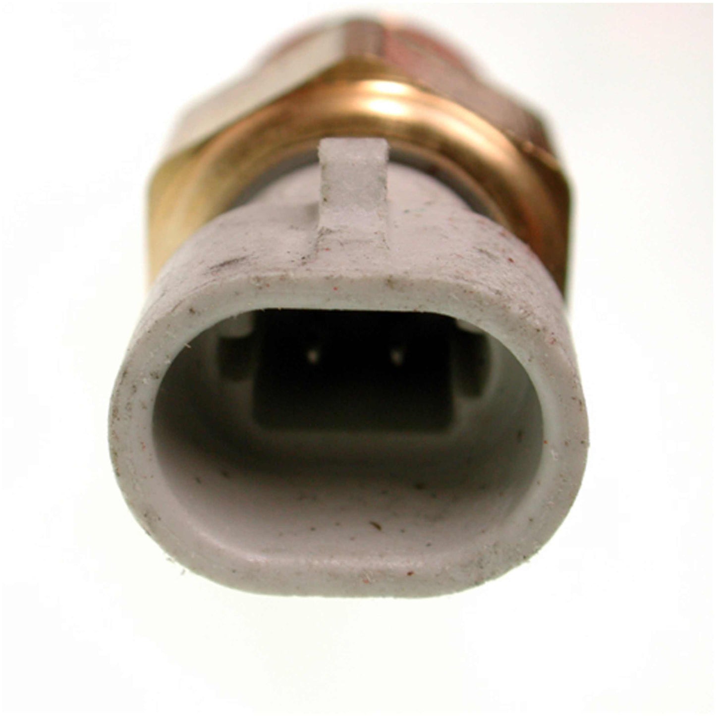 Delphi Air Charge Temperature Sensor TS10077