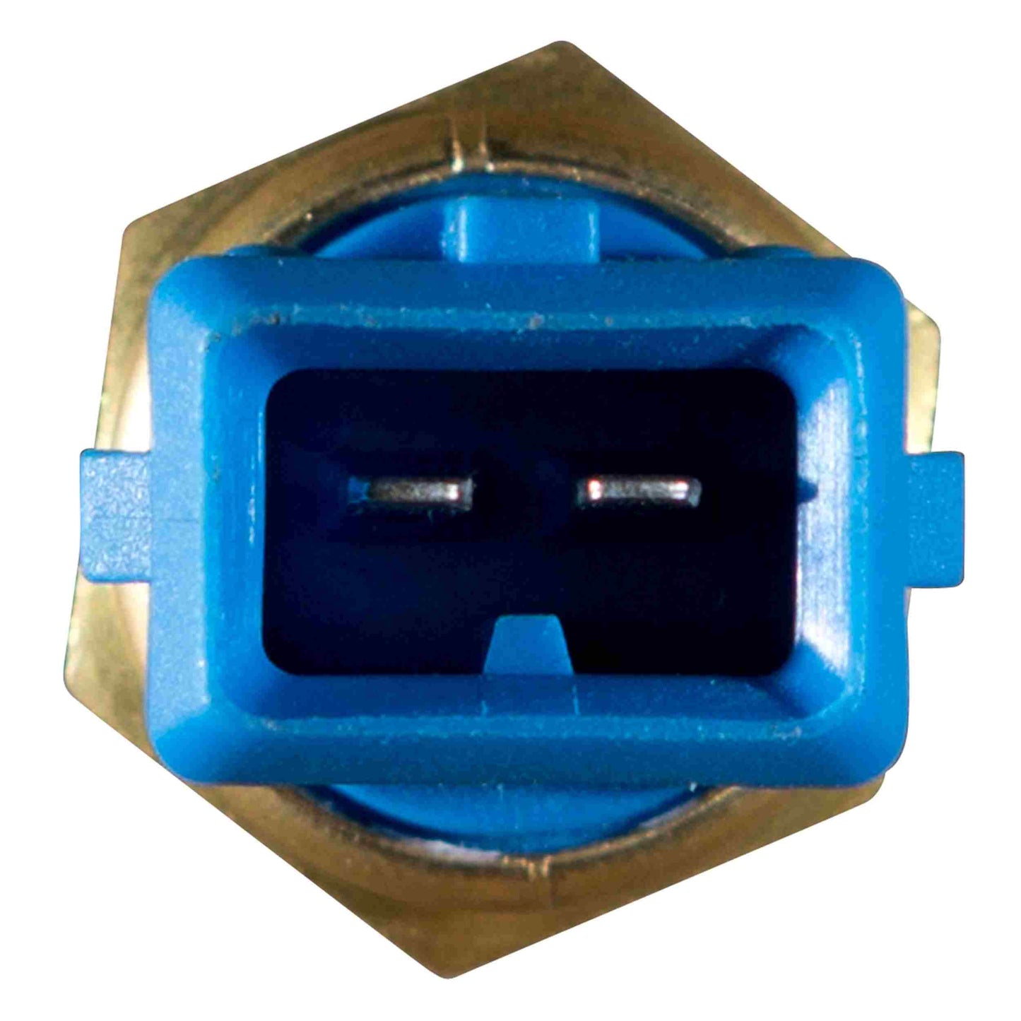 Delphi Engine Coolant Temperature Sensor TS10250