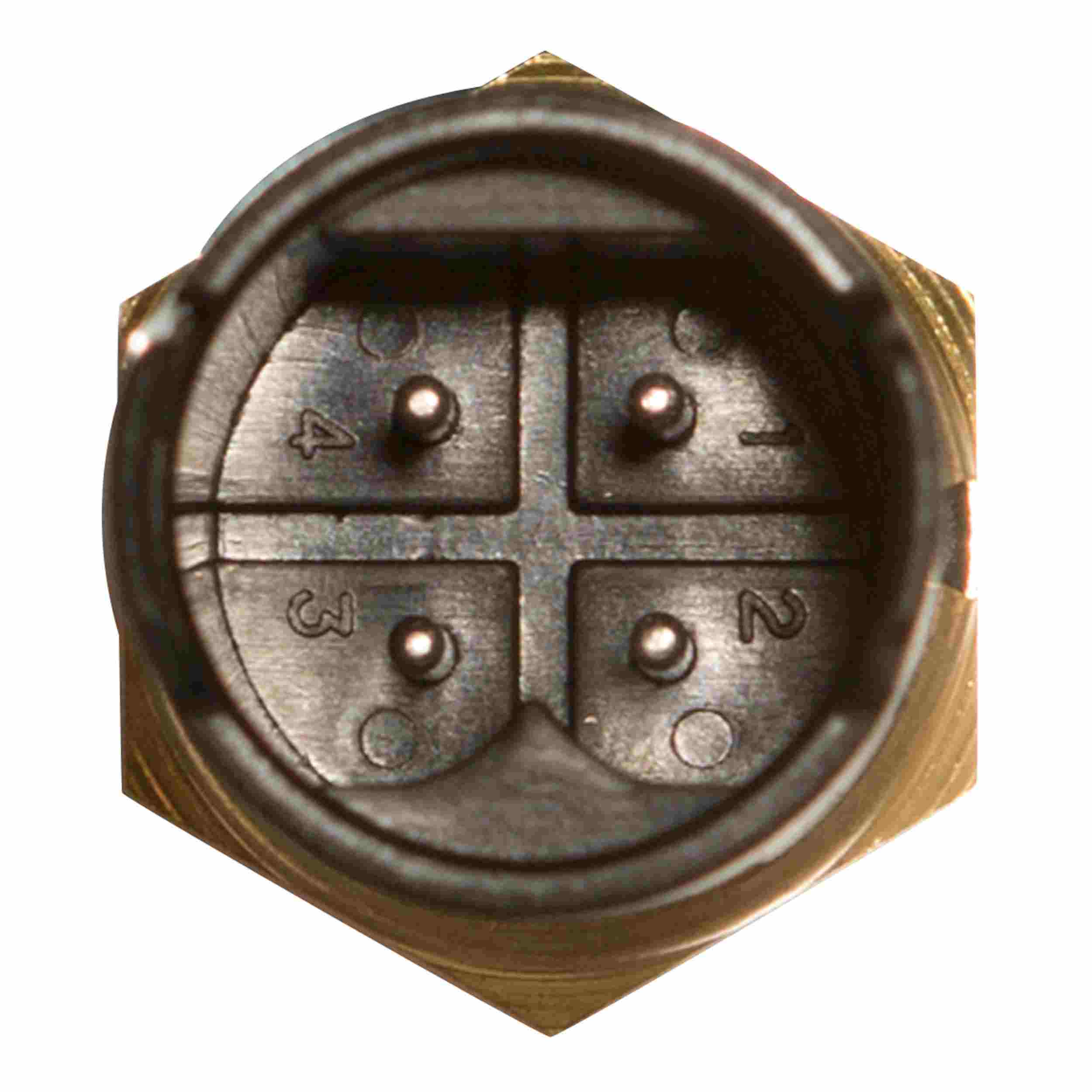 Delphi Engine Coolant Temperature Sensor TS10258