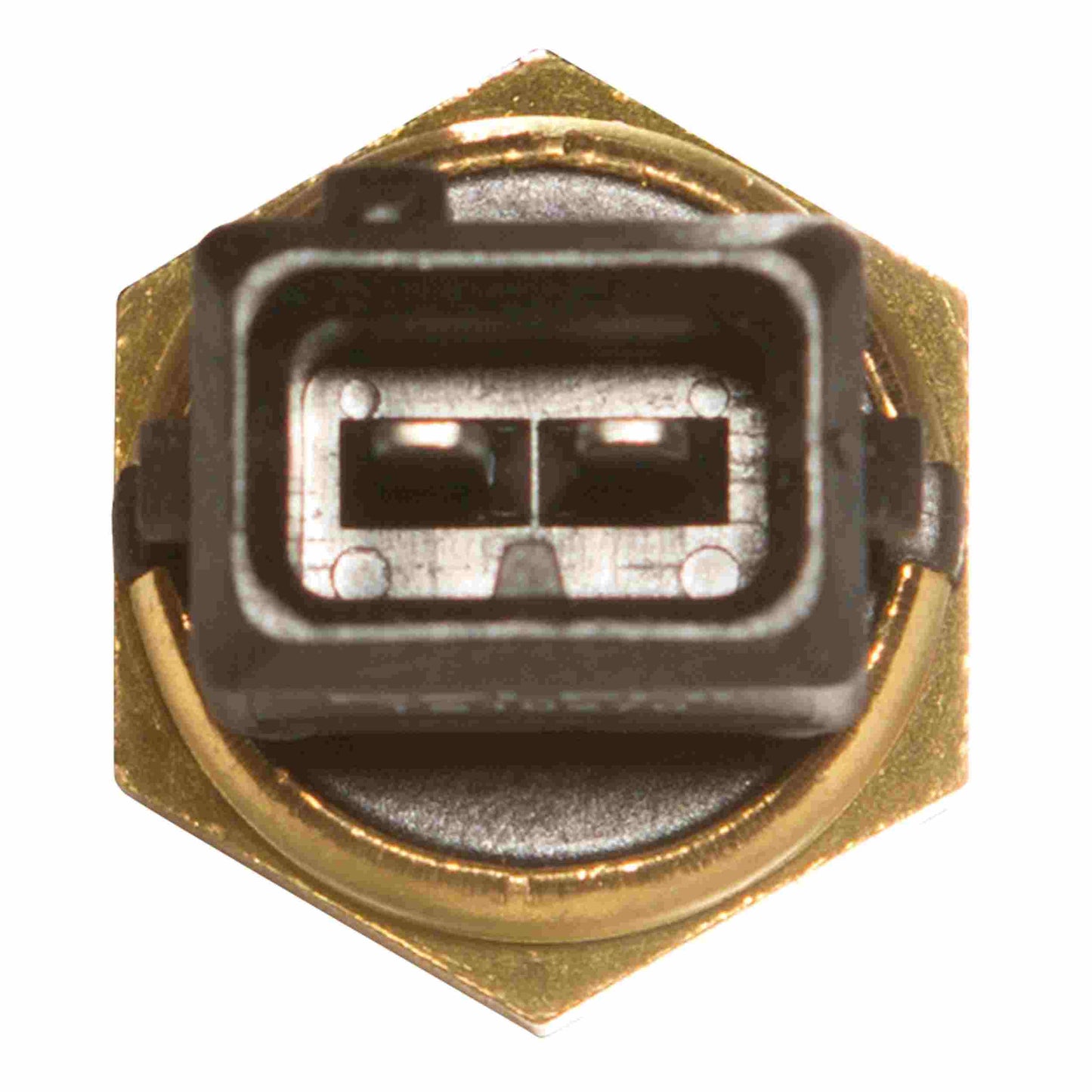 Delphi Engine Coolant Temperature Sensor TS10270