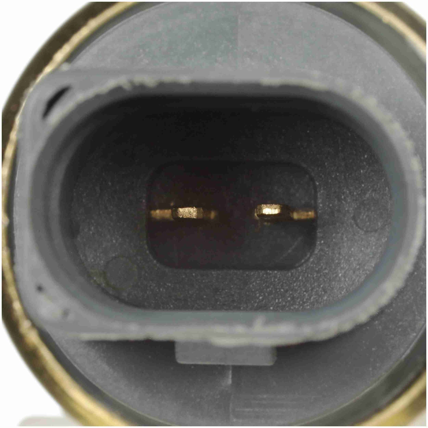 Delphi Engine Coolant Temperature Sensor TS10278