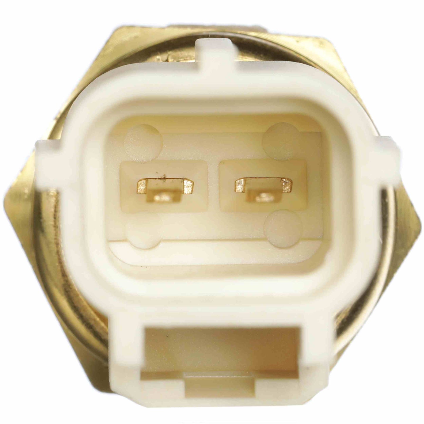 Delphi Engine Coolant Temperature Sensor TS10289