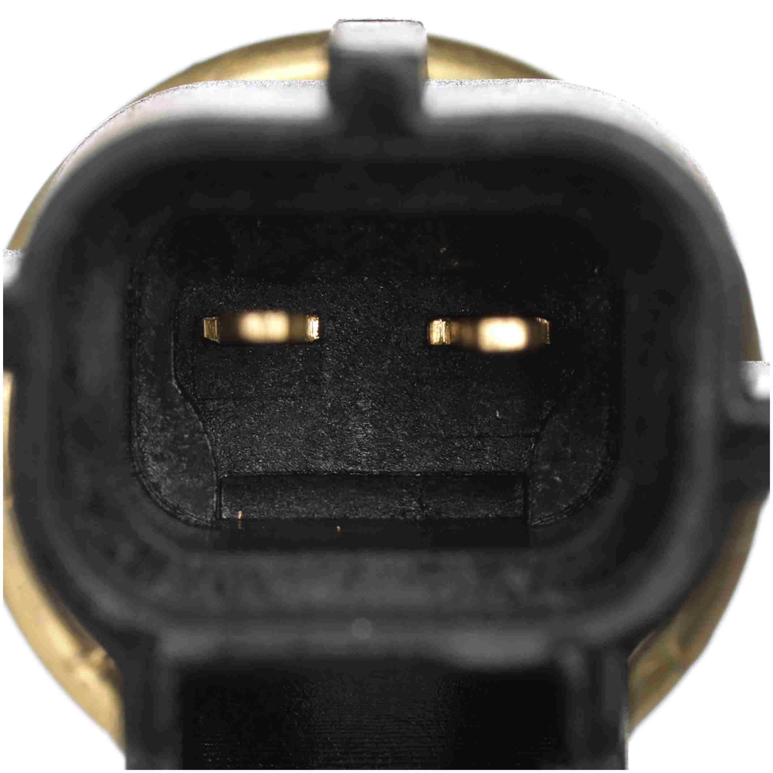 Delphi Engine Coolant Temperature Sensor TS10471