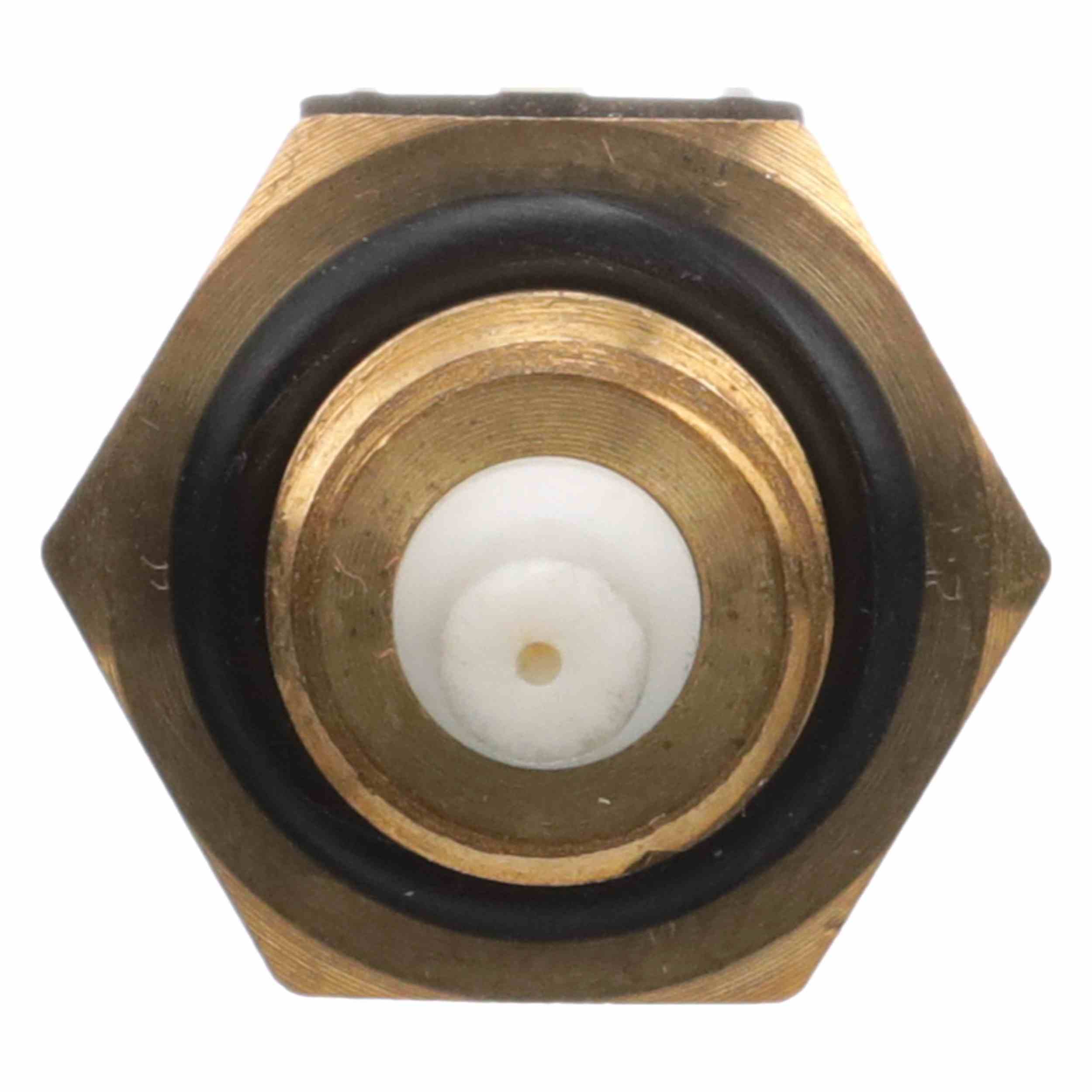 Delphi Air Charge Temperature Sensor TS10535