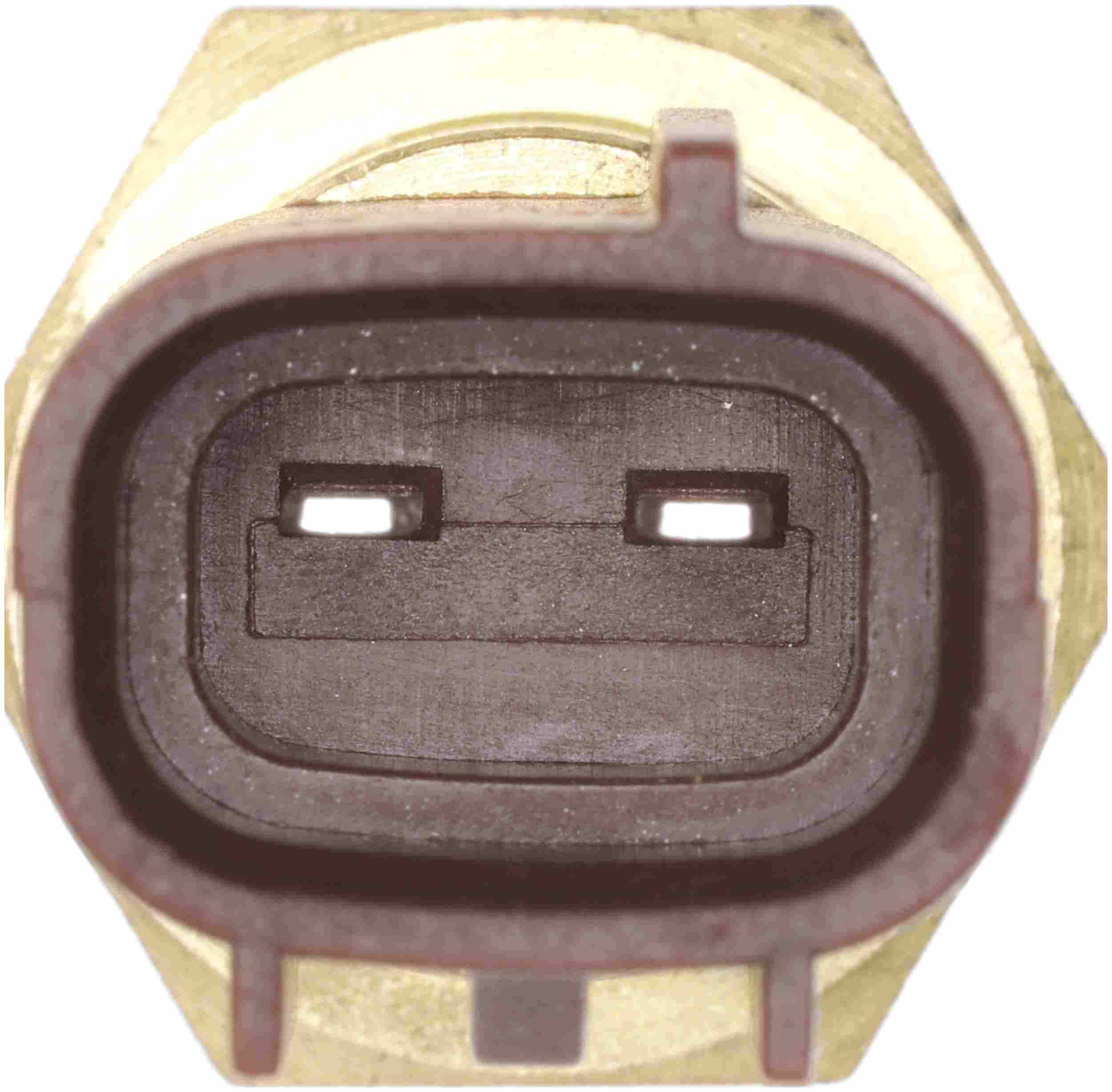 Delphi Engine Coolant Temperature Sensor TS10572