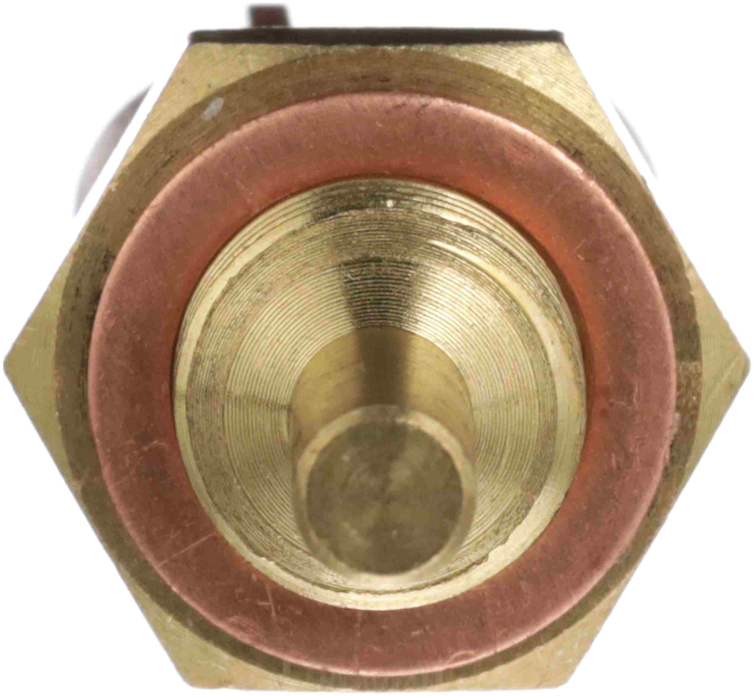 Delphi Engine Coolant Temperature Sensor TS10572