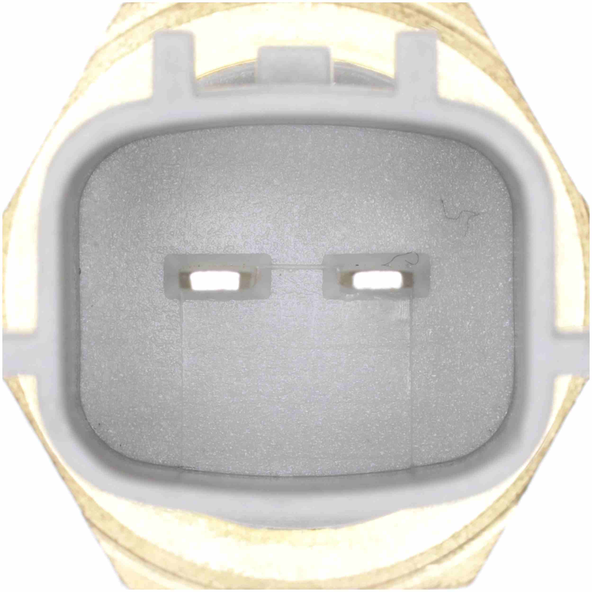 Delphi Engine Coolant Temperature Sensor TS10573