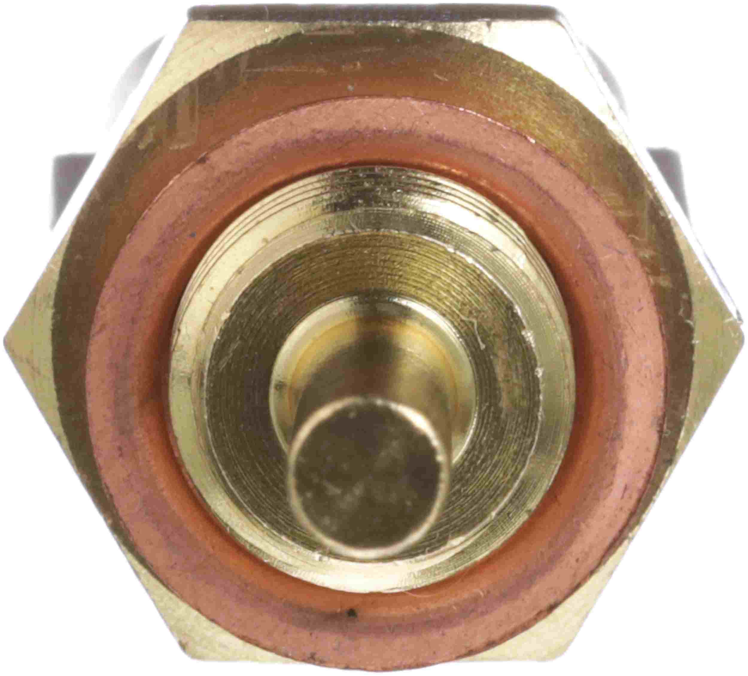 Delphi Engine Coolant Temperature Sensor TS10573