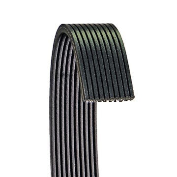 Dayco Serpentine Belt 6100741