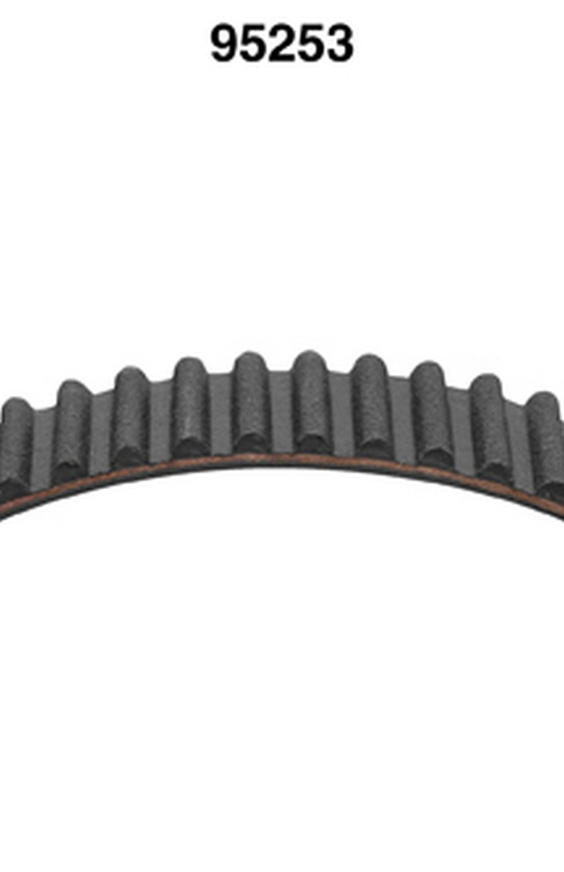Dayco 95253
