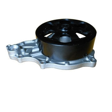 Dayco Engine Water Pump DP1933