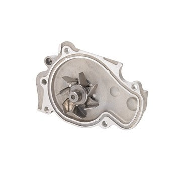 Dayco Engine Water Pump DP556