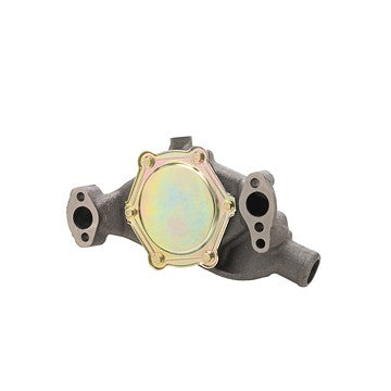 Dayco Engine Water Pump DP829