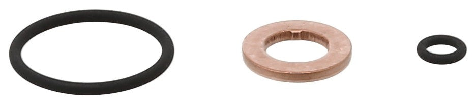 Elring Fuel Injection Pump Seal Kit 883.690